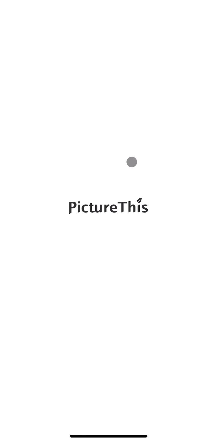 Picture This Splash screen screen in the Onboarding flow