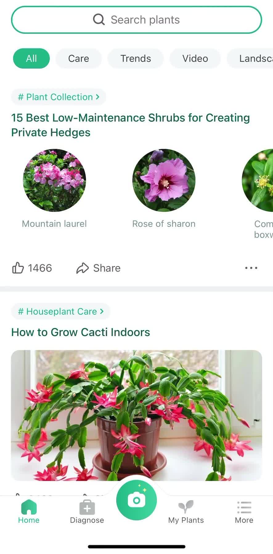 Picture This Searching preview