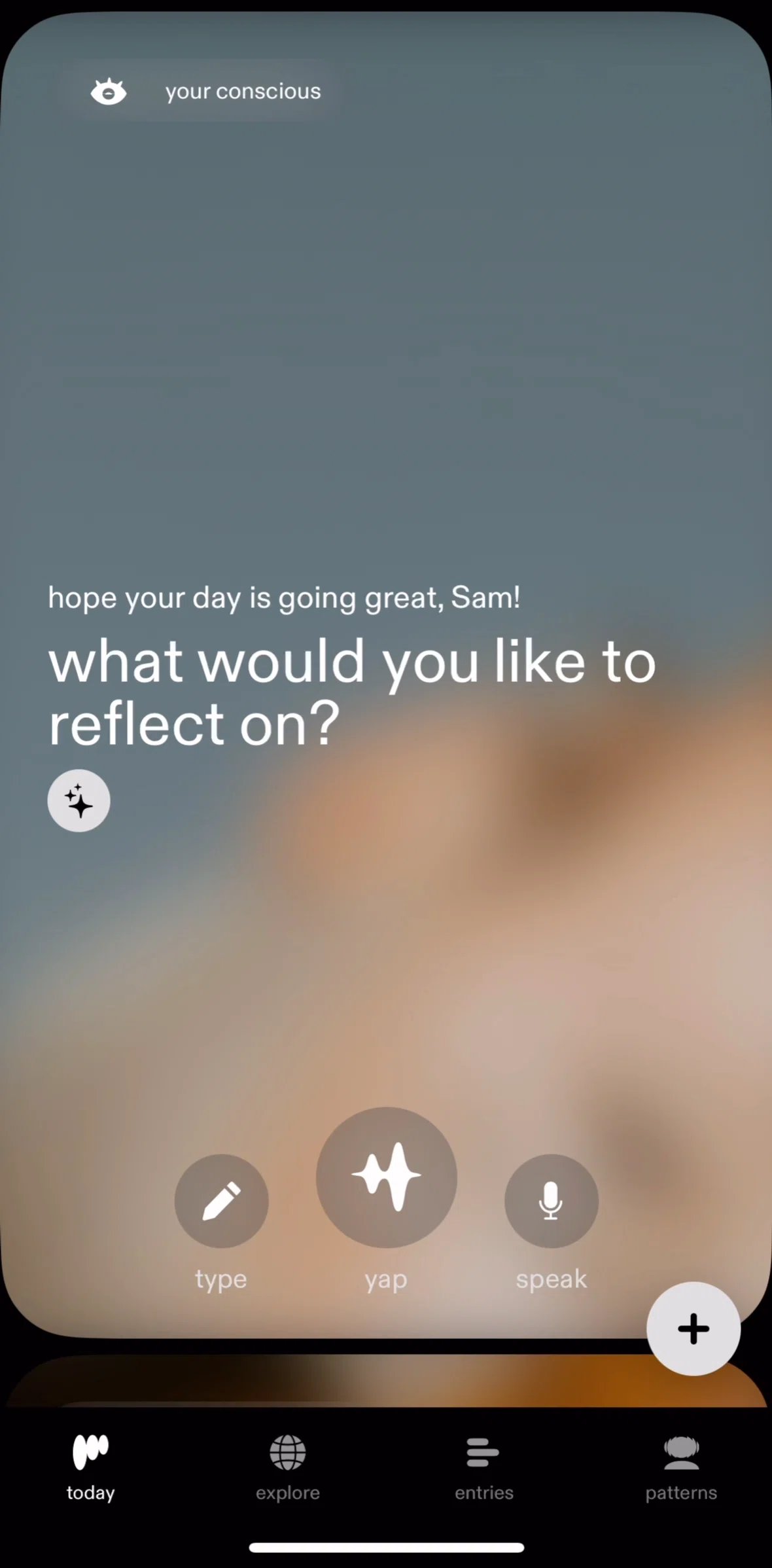 pillowtalk Screen screen in the Entries flow