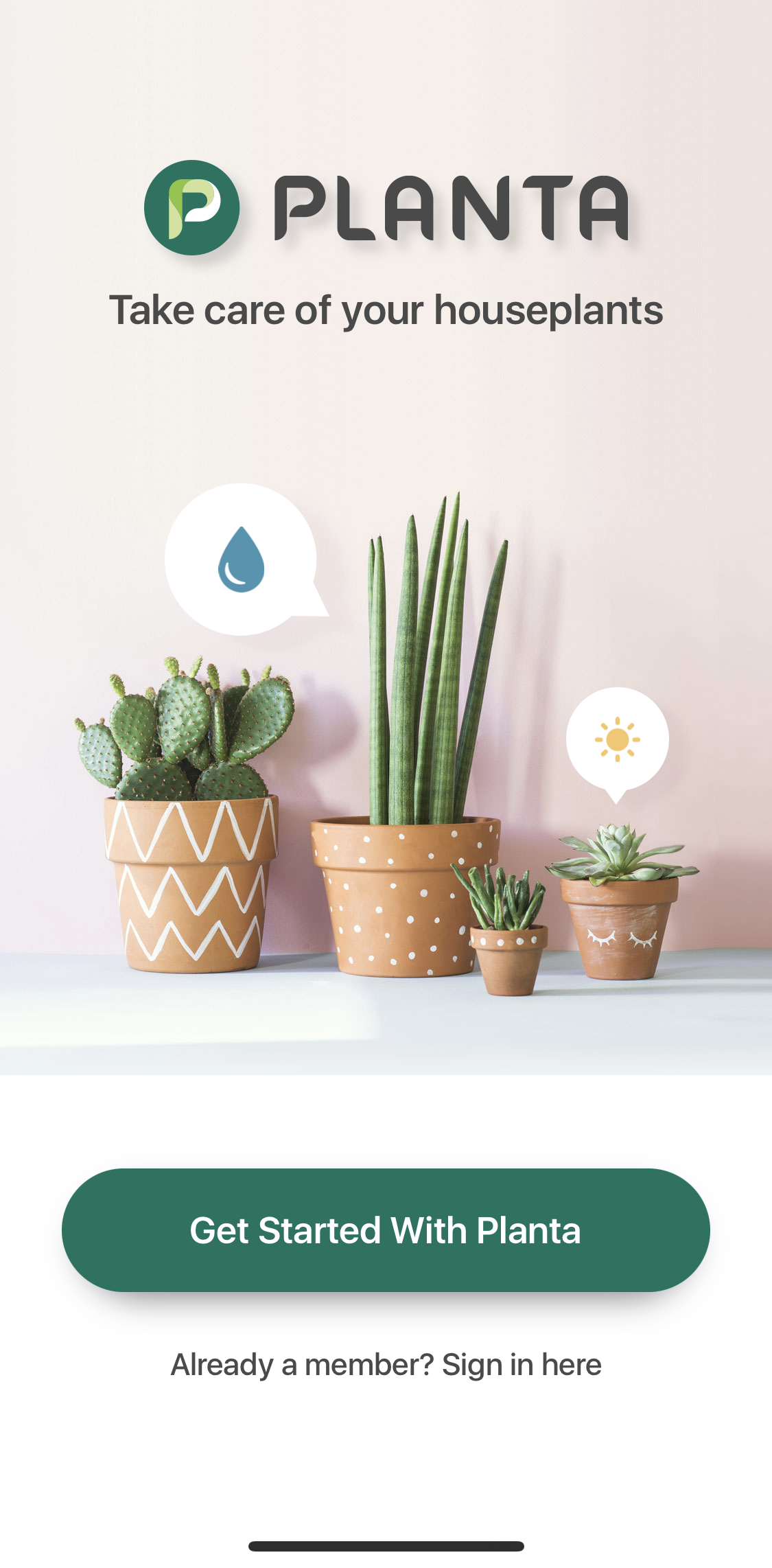 Planta Start screen screen in the General Browsing flow