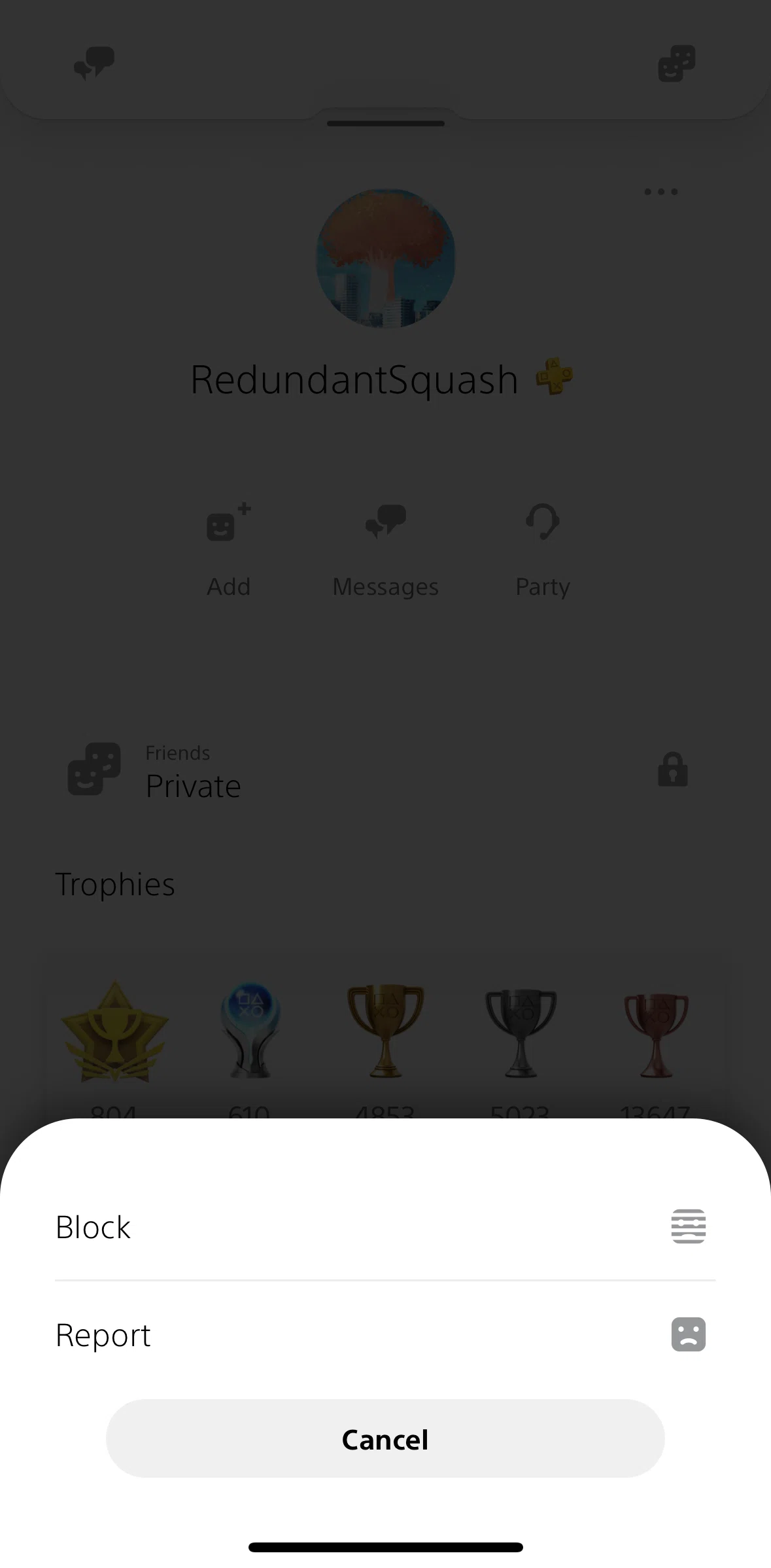 PlayStation App Screen screen in the Blocking a player flow