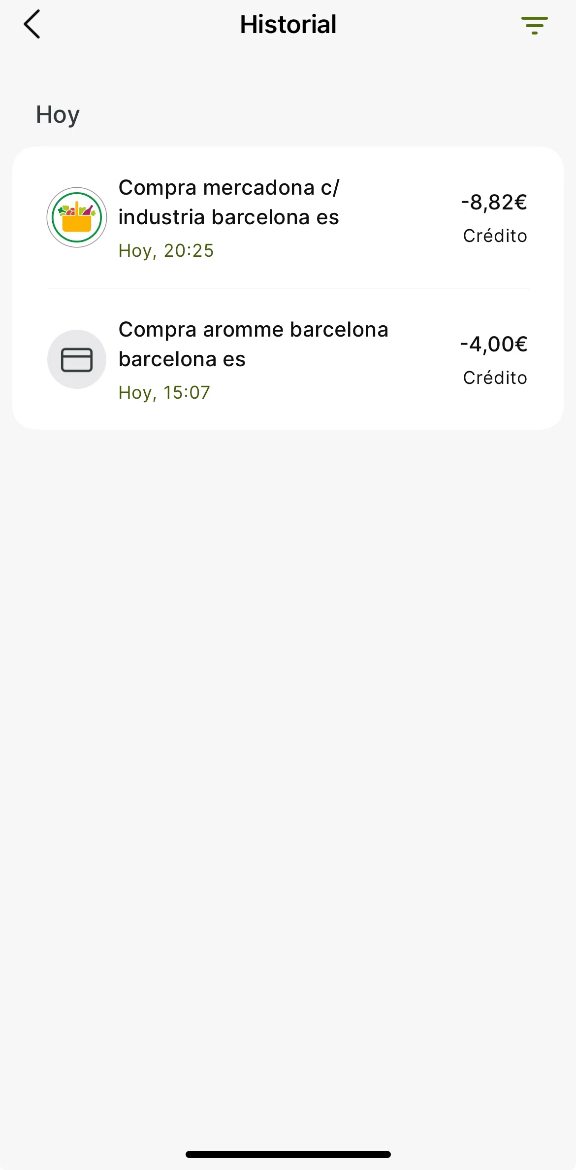 Plazo Screen screen in the Filtering transactions flow