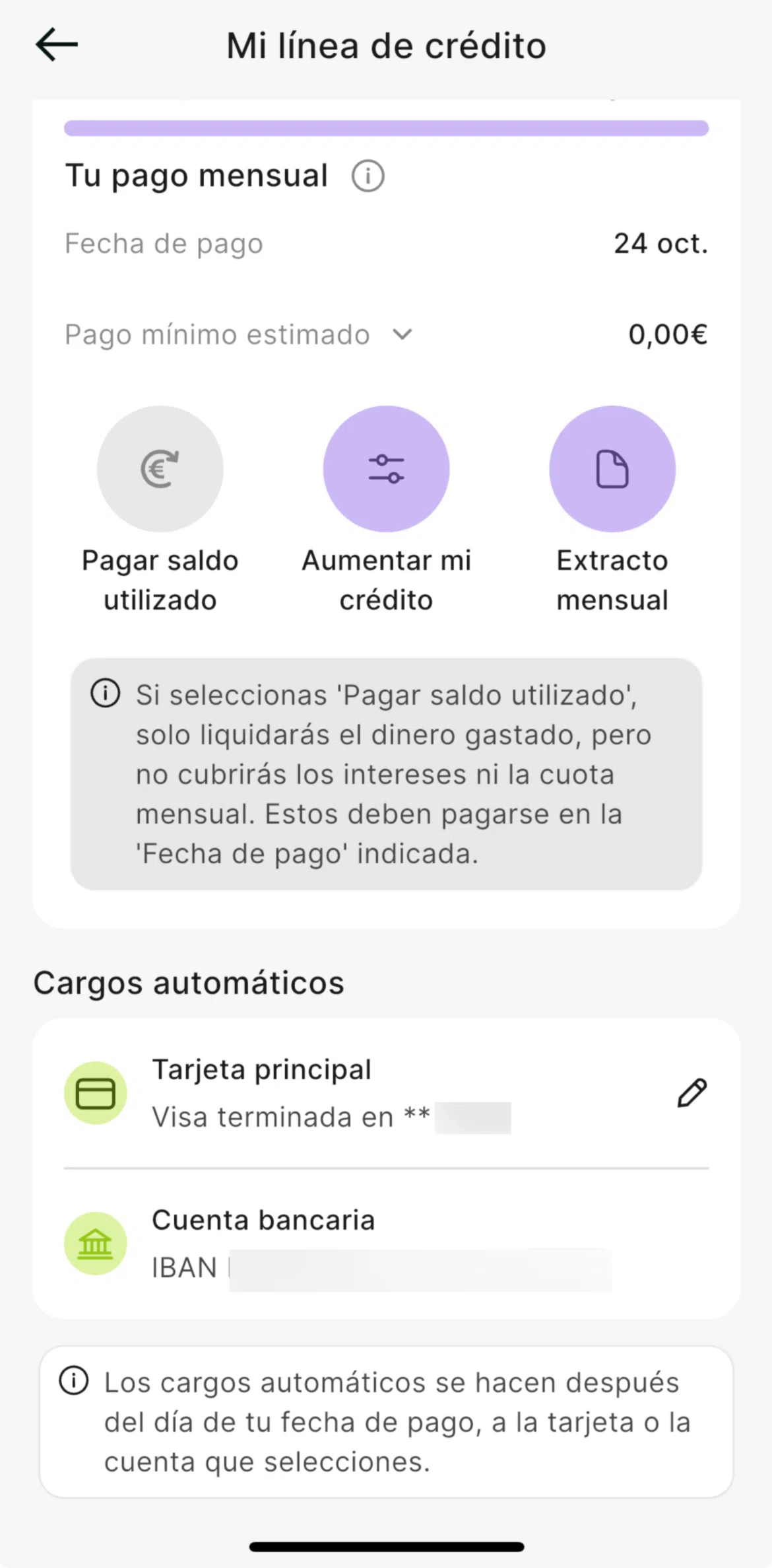 Plazo Screen screen in the Payment information flow