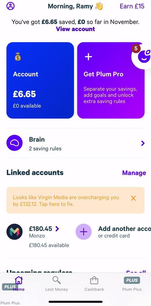 Plum Home screen in the Chat Bot flow