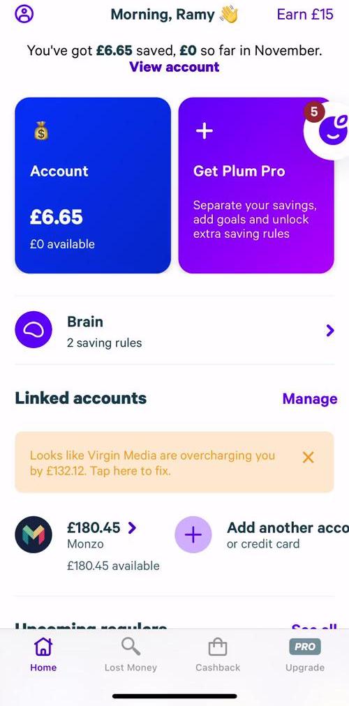 Plum Home screen in the Upgrading Your Account flow