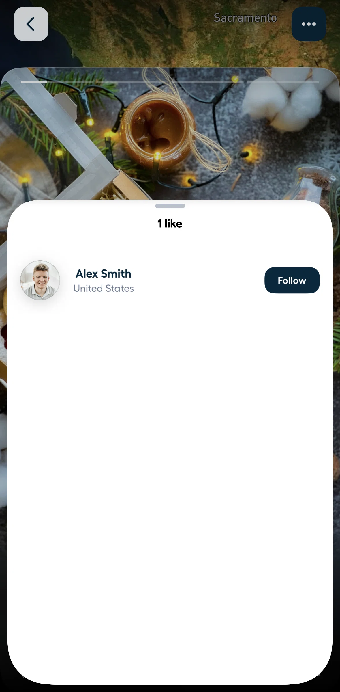 Polarsteps Screen screen in the Following a user flow