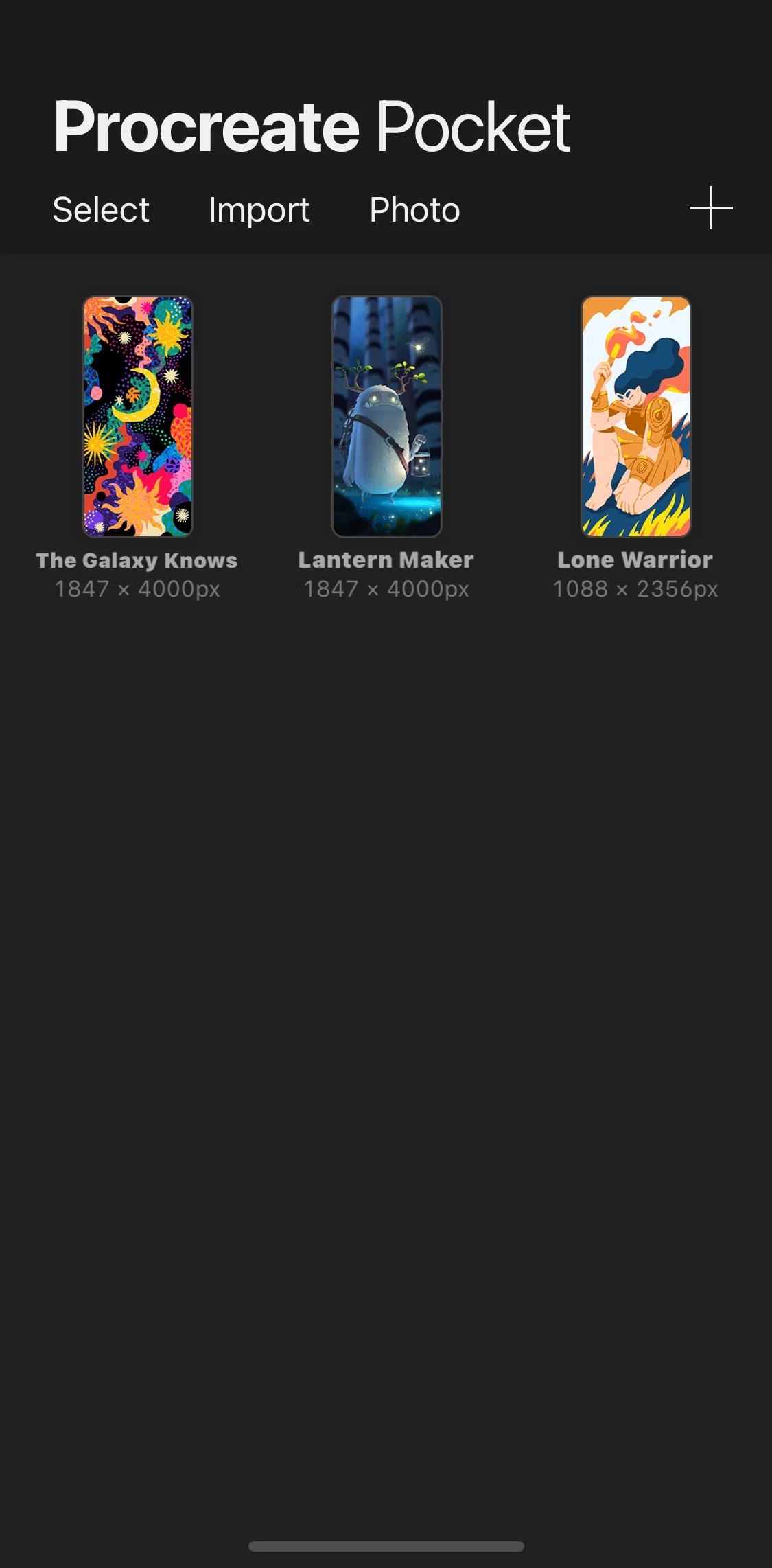 Procreate Pocket Screen screen in the Renaming artwork flow