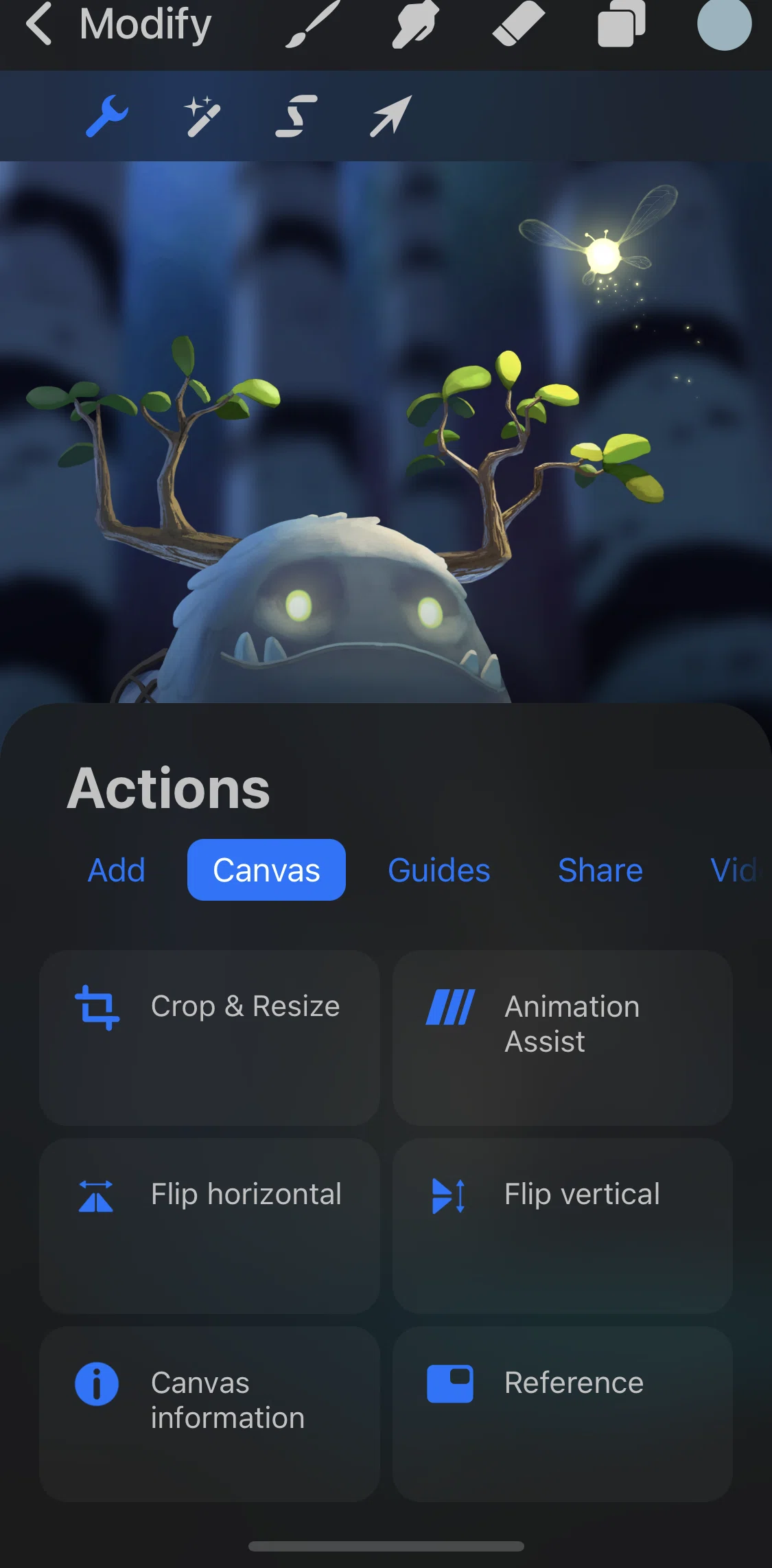 Procreate Pocket Screen screen in the Viewing canvas information flow