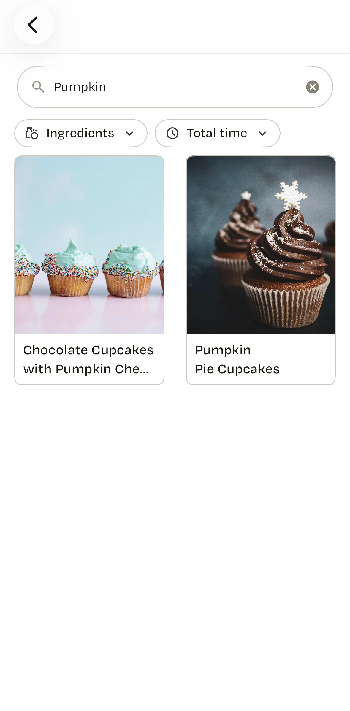 Recime Screen screen in the Filtering recipes flow