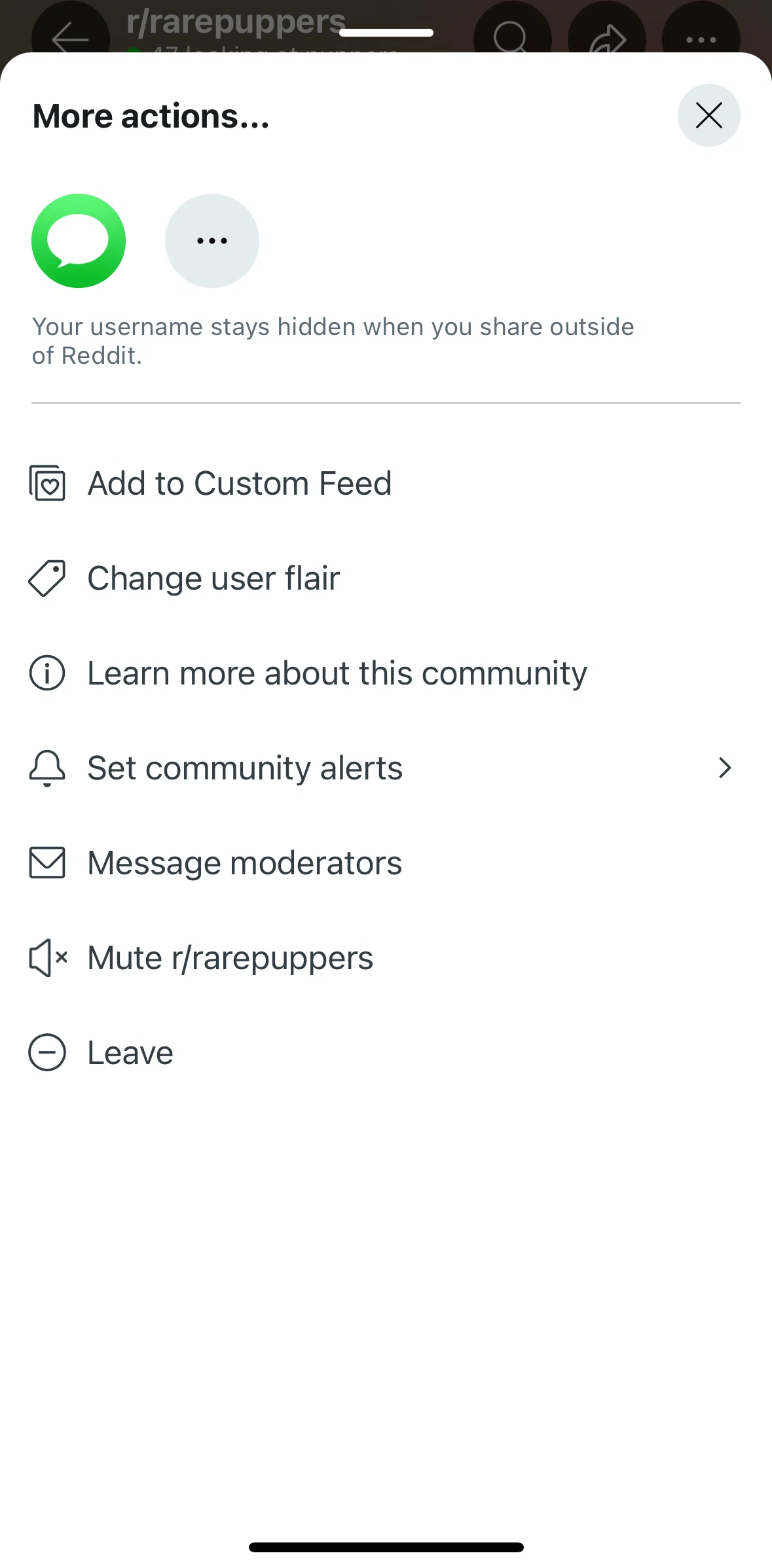 Reddit Screen screen in the Community info flow