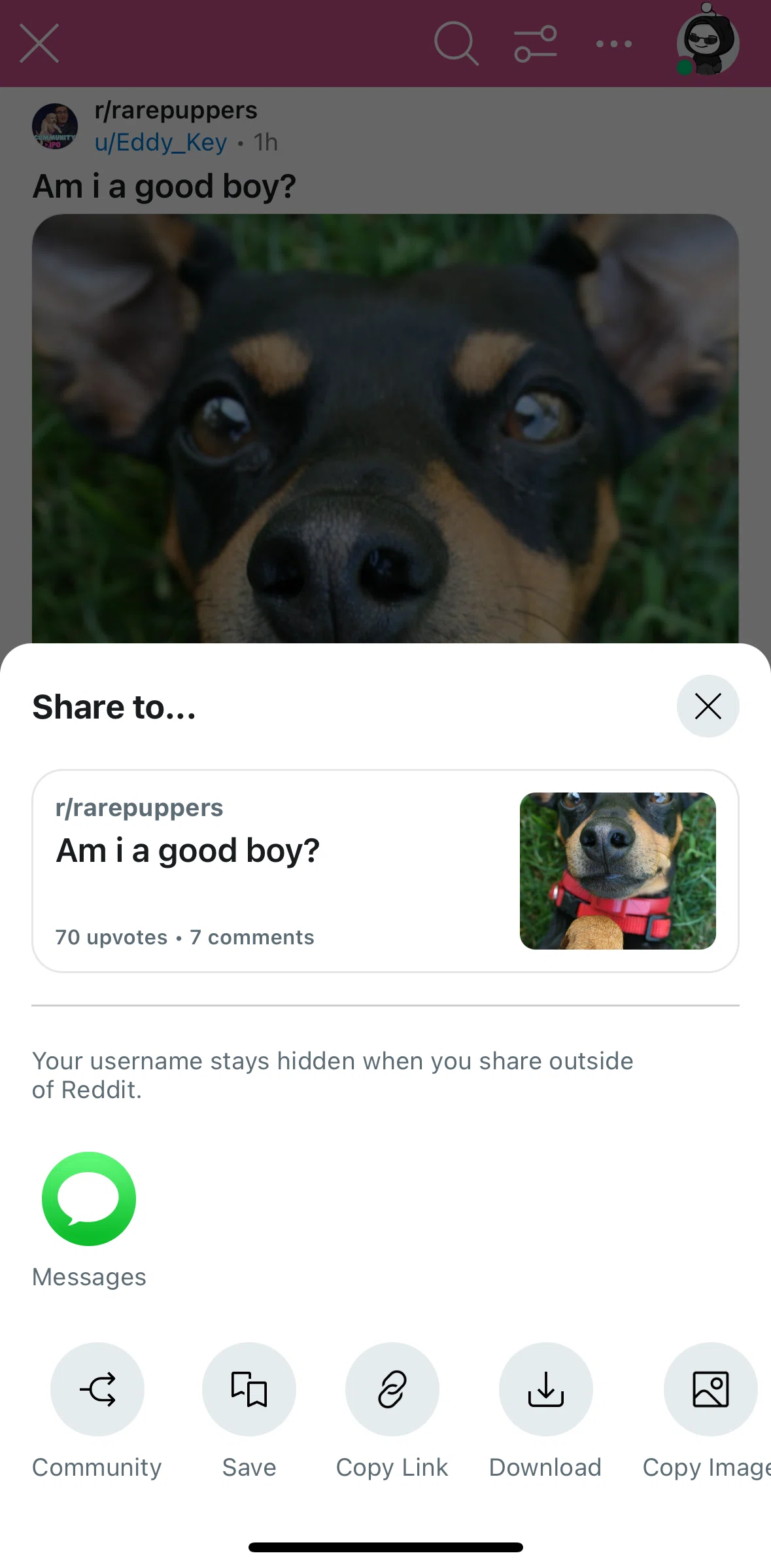 Reddit Screen screen in the Crossposting to a community flow