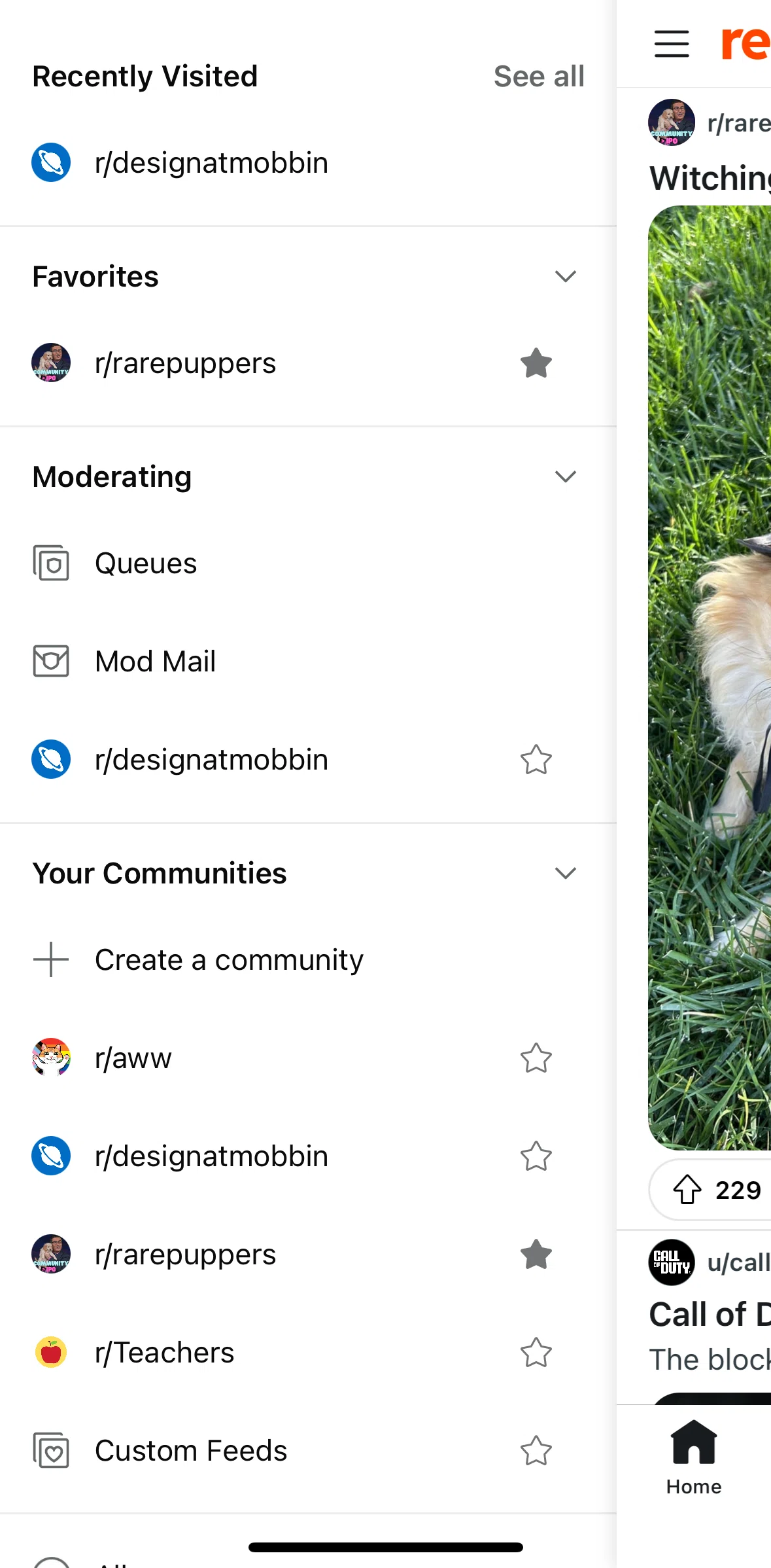 Reddit Screen screen in the Recently visited flow