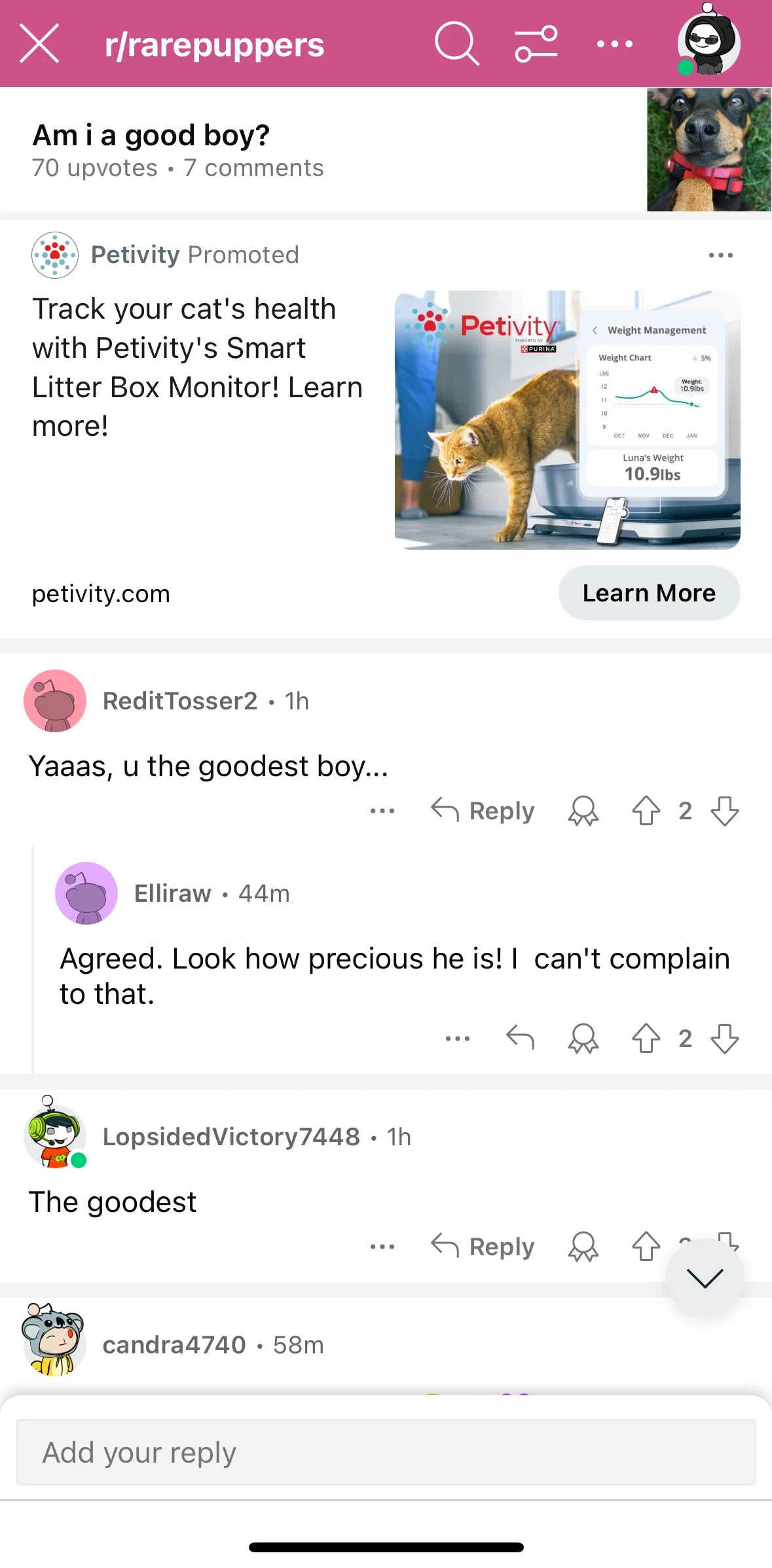 Reddit Screen screen in the Replying to a comment flow