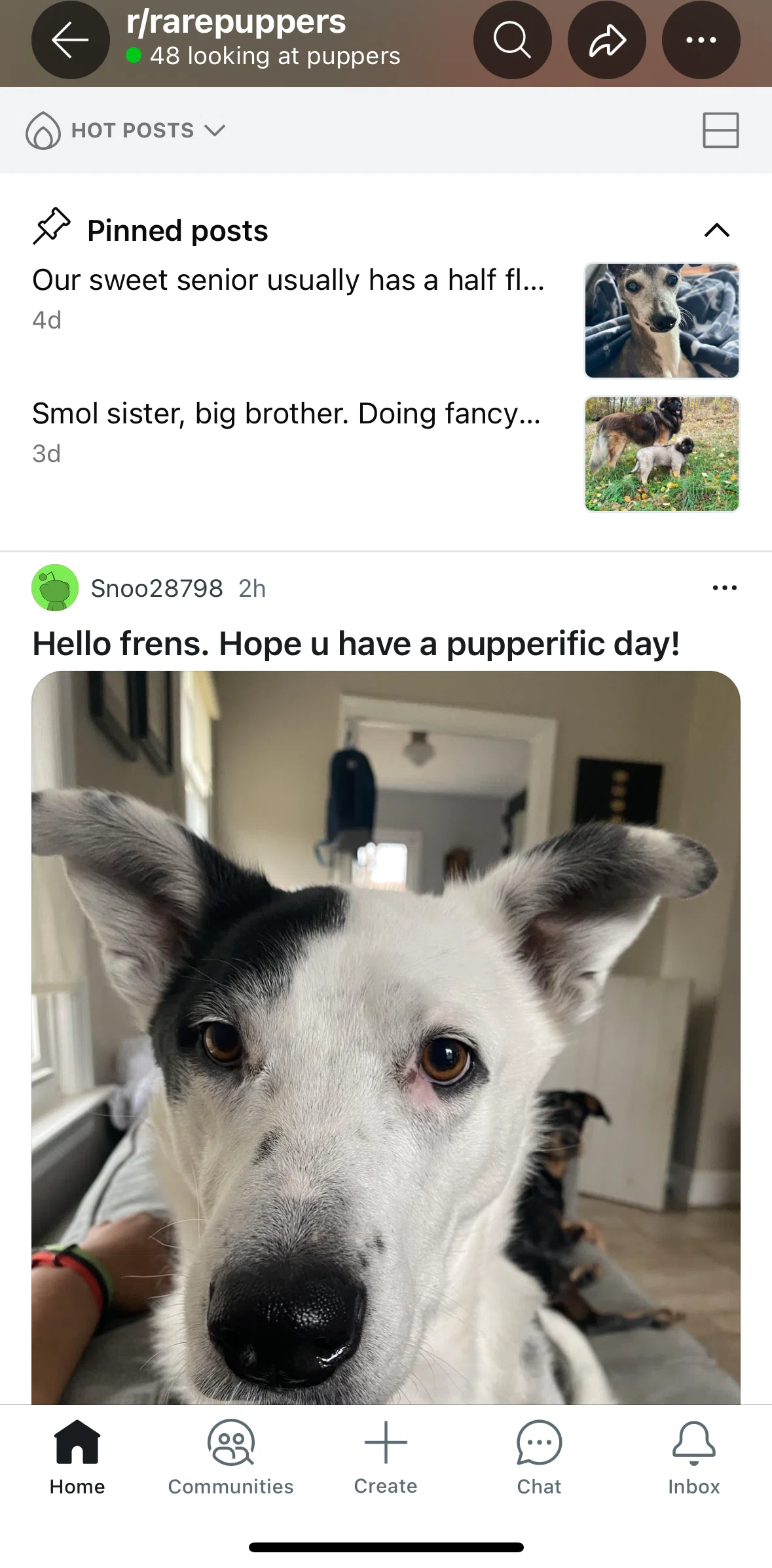 Reddit Screen screen in the Switching feed view flow