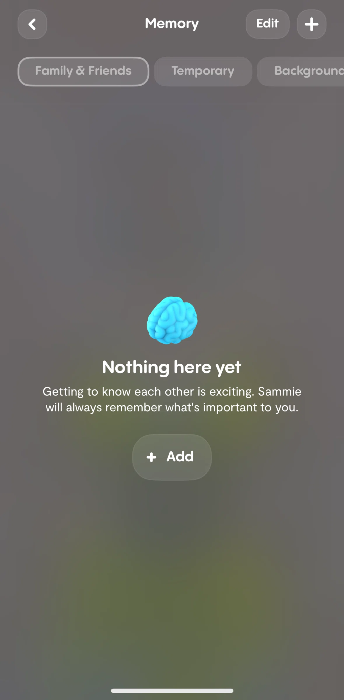 Replika Screen screen in the Adding a memory flow