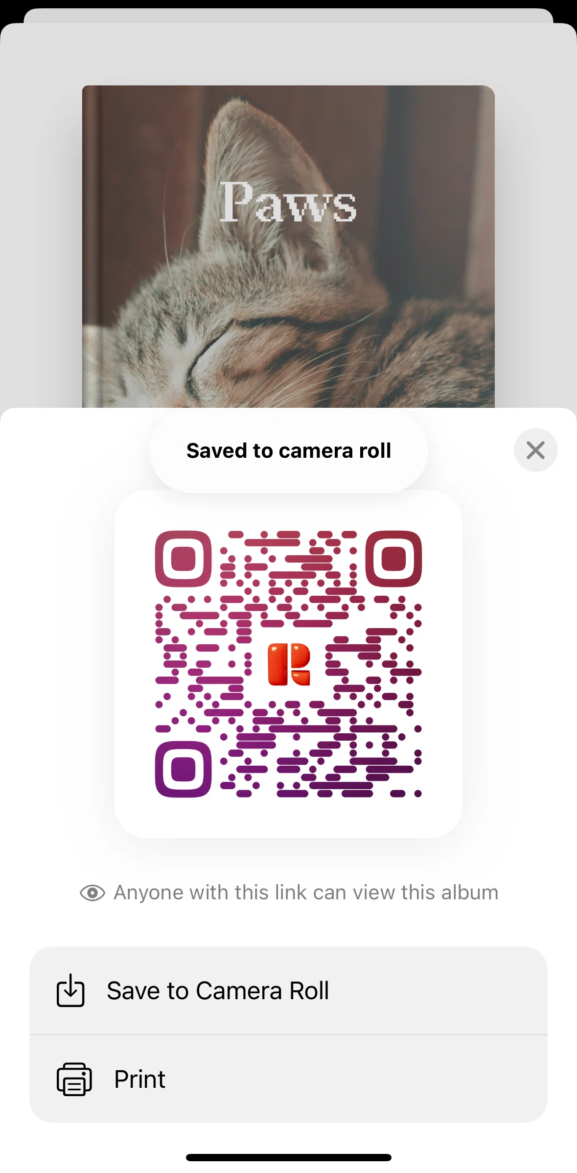 Retro Screen screen in the Print journal QR code flow