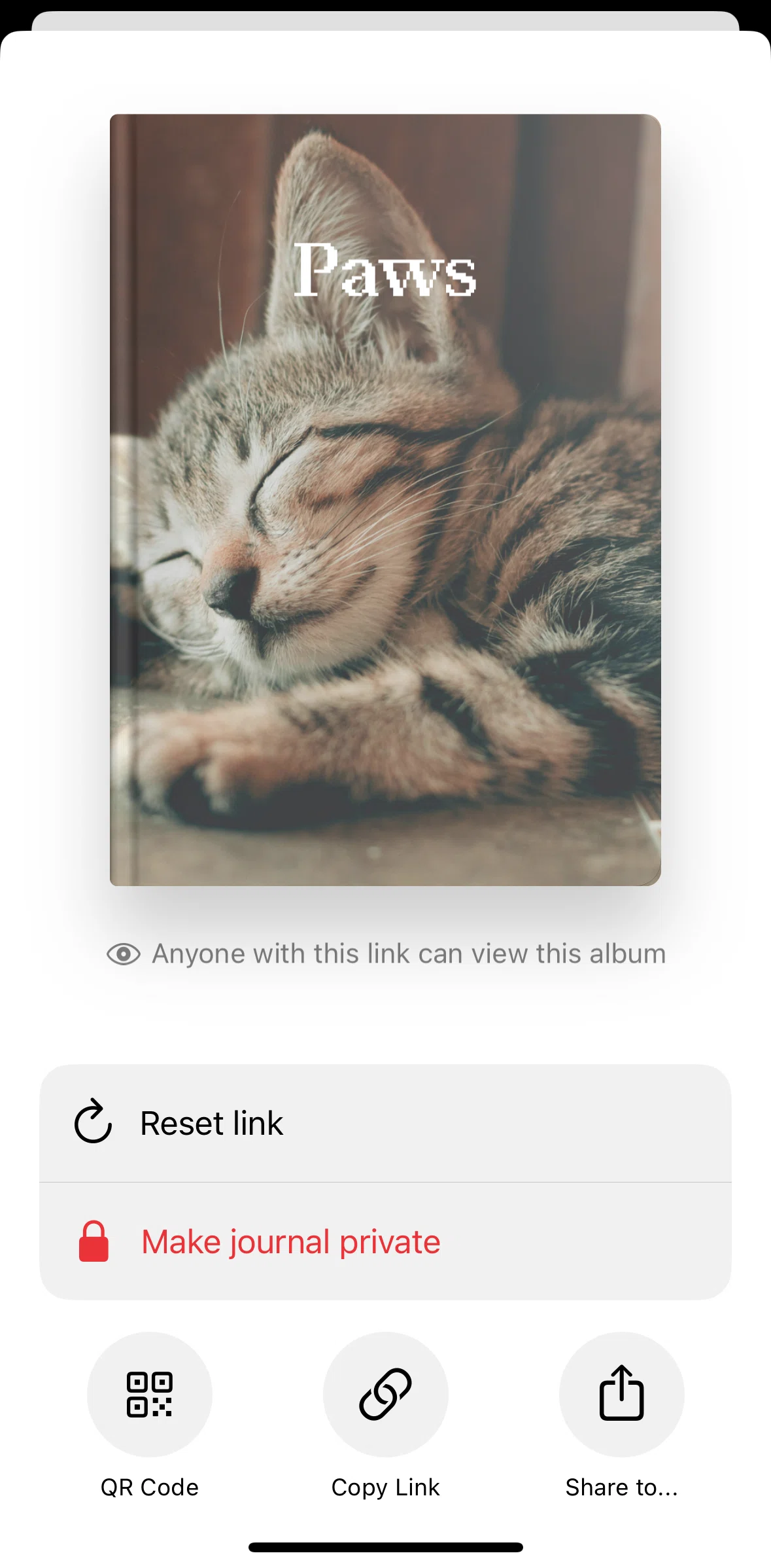 Retro Screen screen in the View journal QR code flow