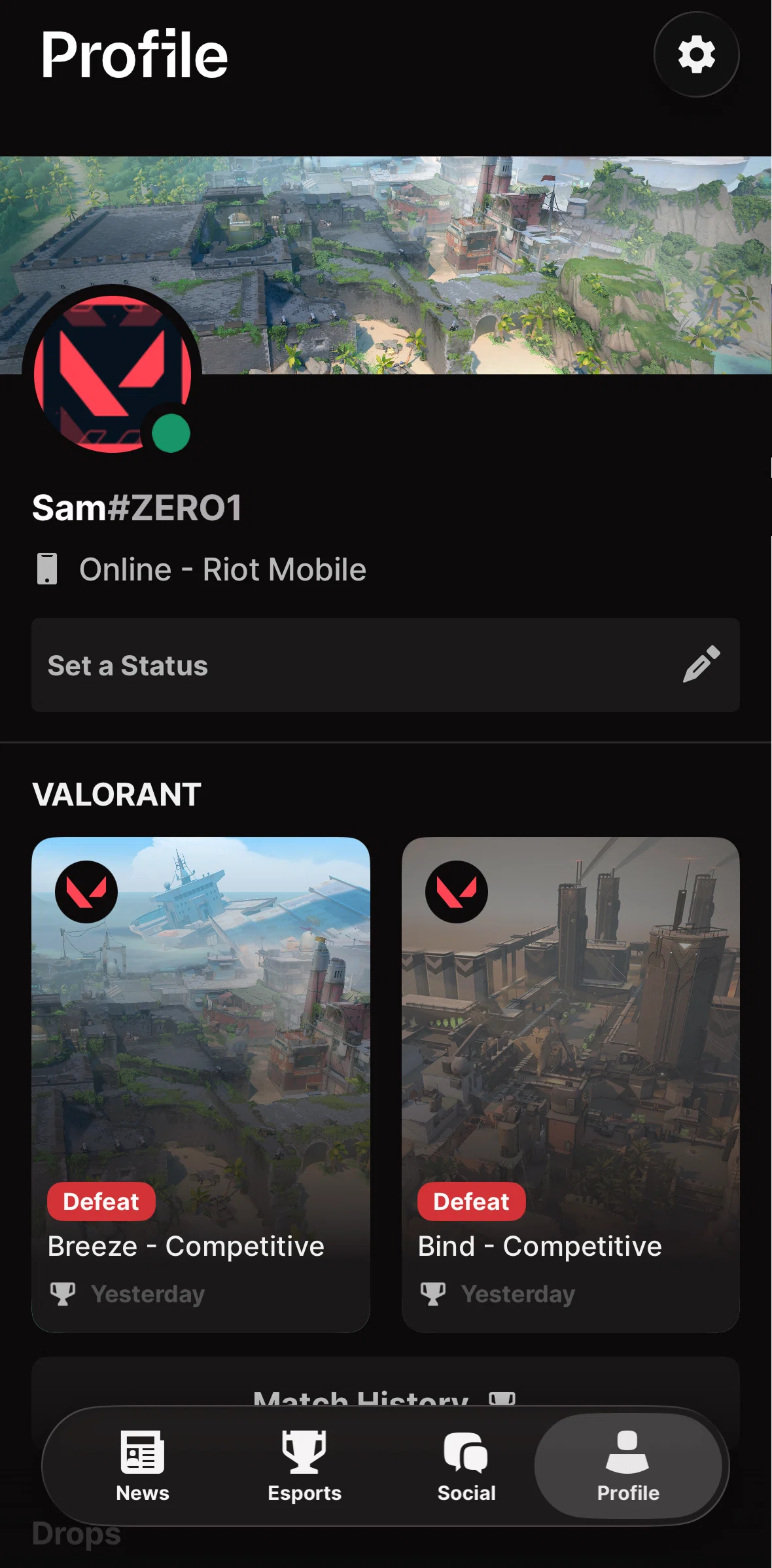 Riot Mobile Screen screen in the Adding a status flow