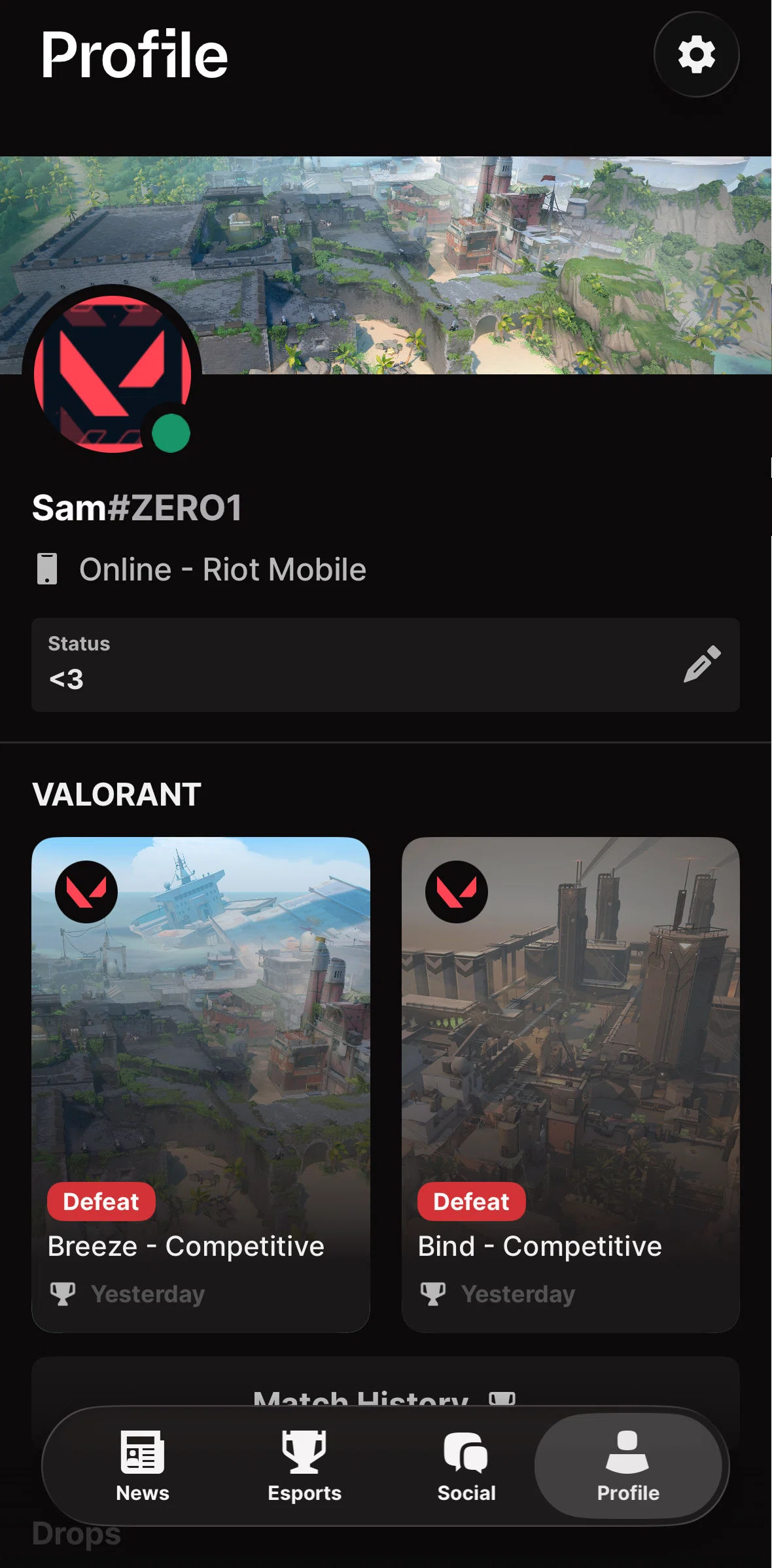 Riot Mobile Screen screen in the Settings flow