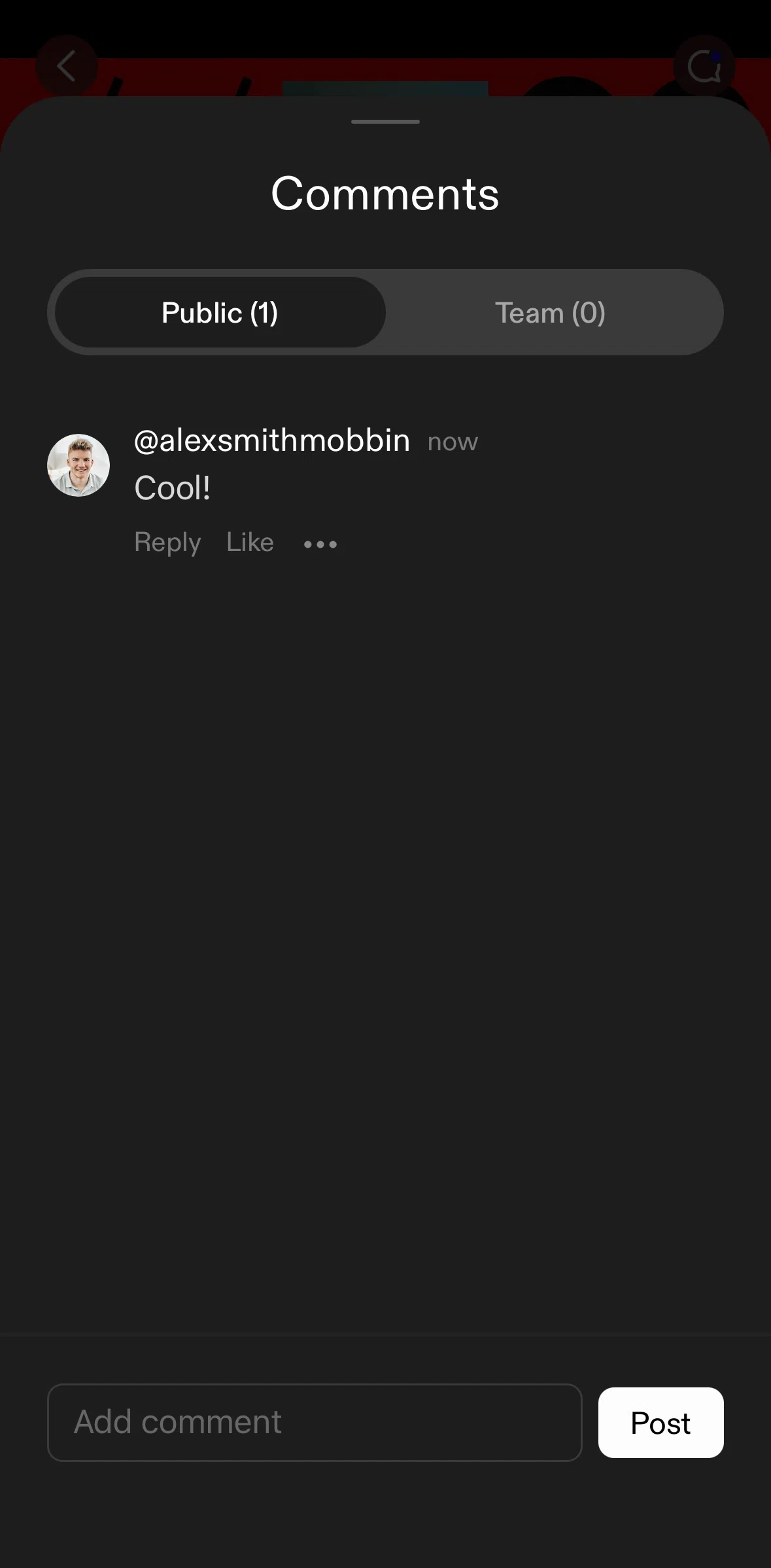 Savee Screen screen in the Deleting a comment flow