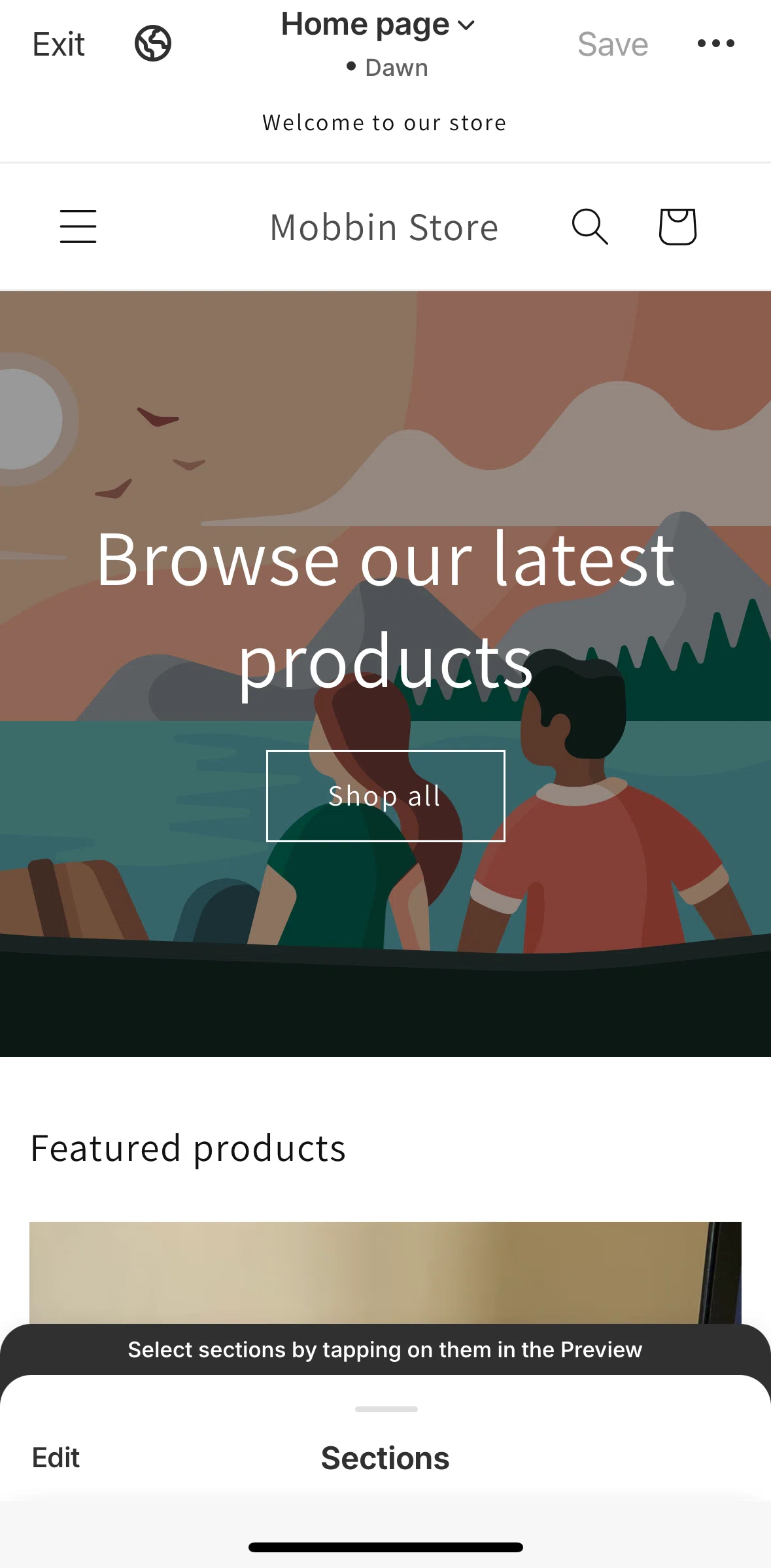 Shopify Screen screen in the Customizing online store flow