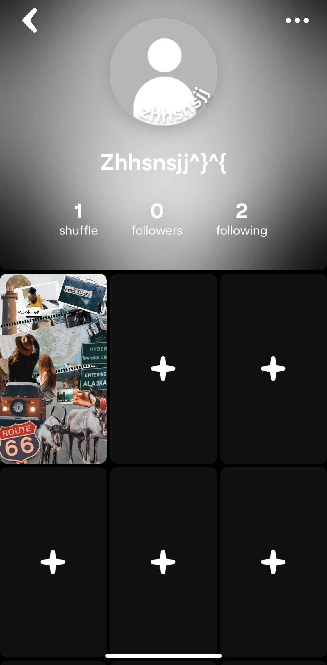 Shuffles by Pinterest Screen screen in the View Pinterest profile flow