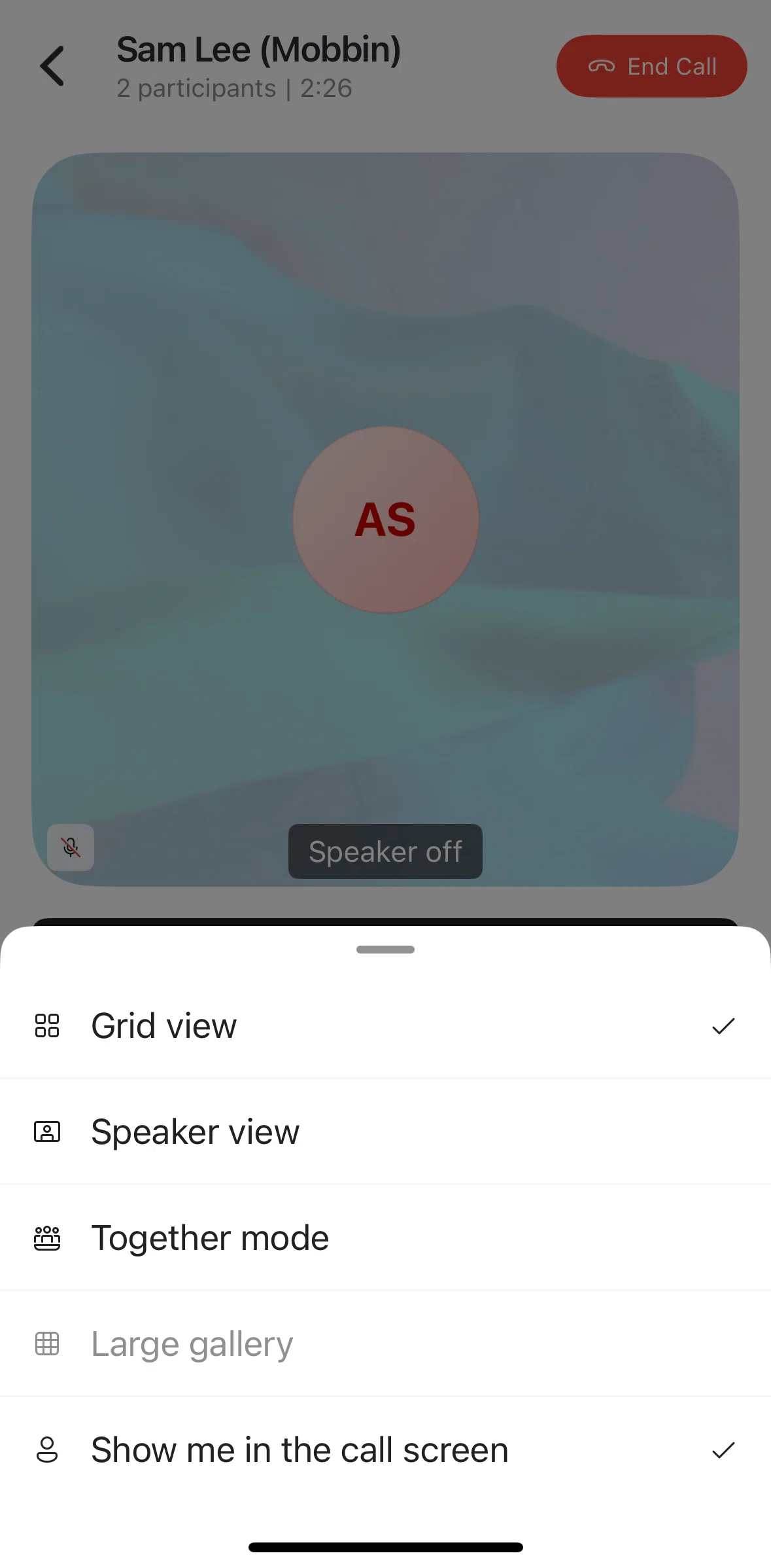 Skype Screen screen in the Switching to speaker view flow
