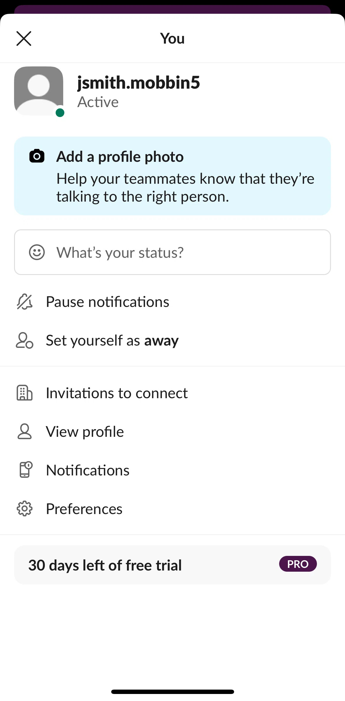 Slack Screen screen in the Editing my profile flow