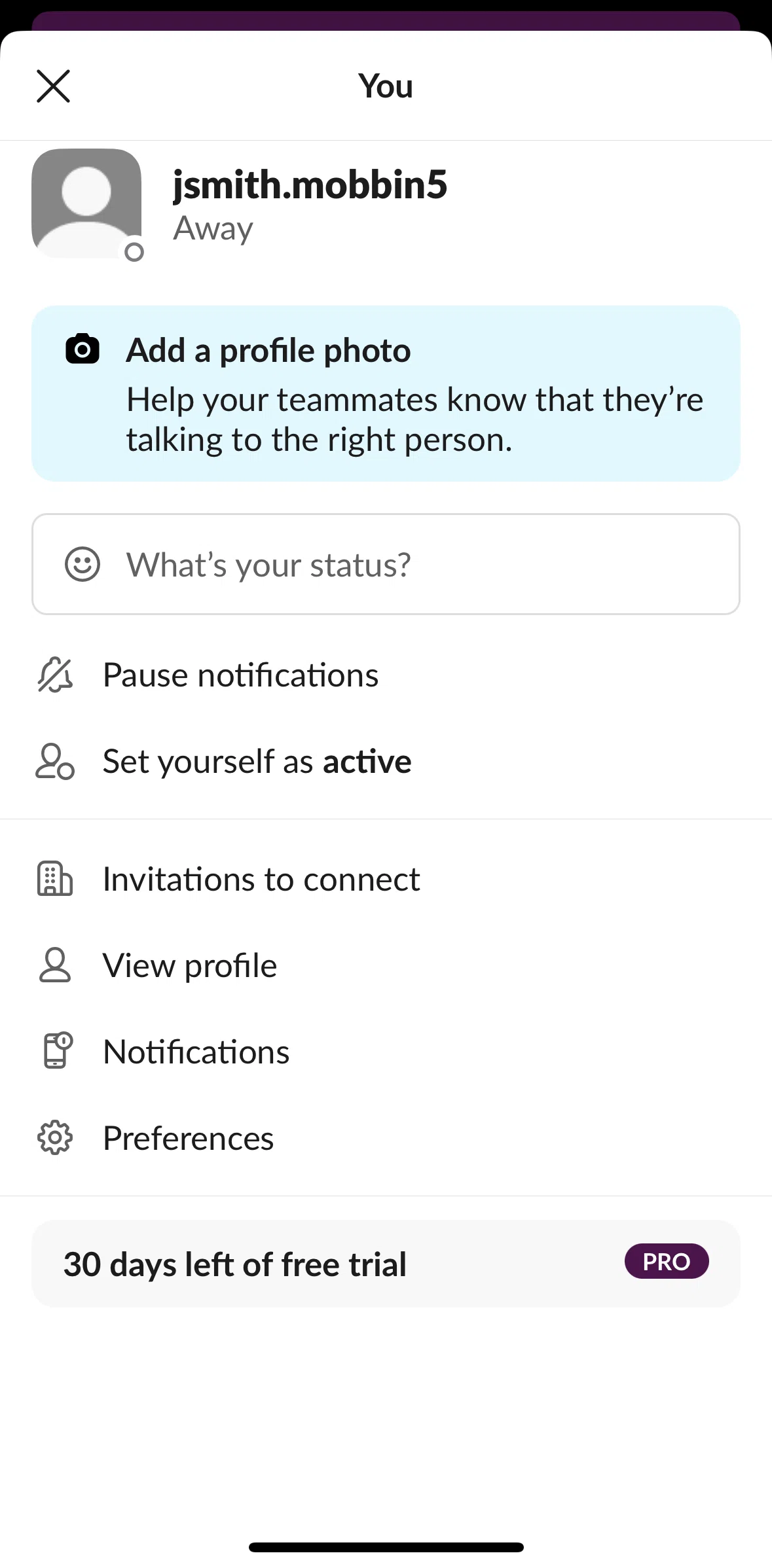 Slack Screen screen in the Setting myself as away flow
