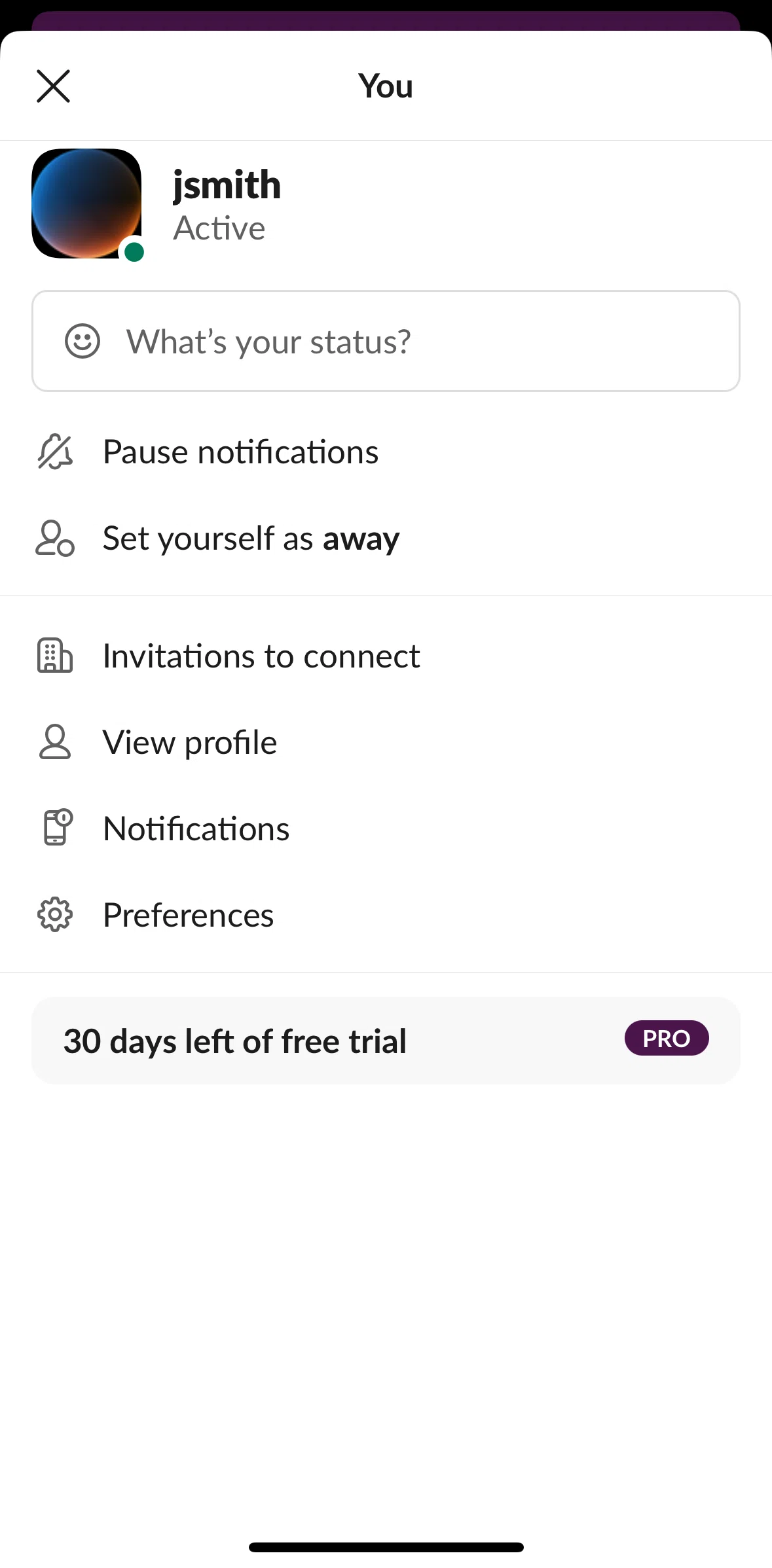 Slack Screen screen in the View my profile flow