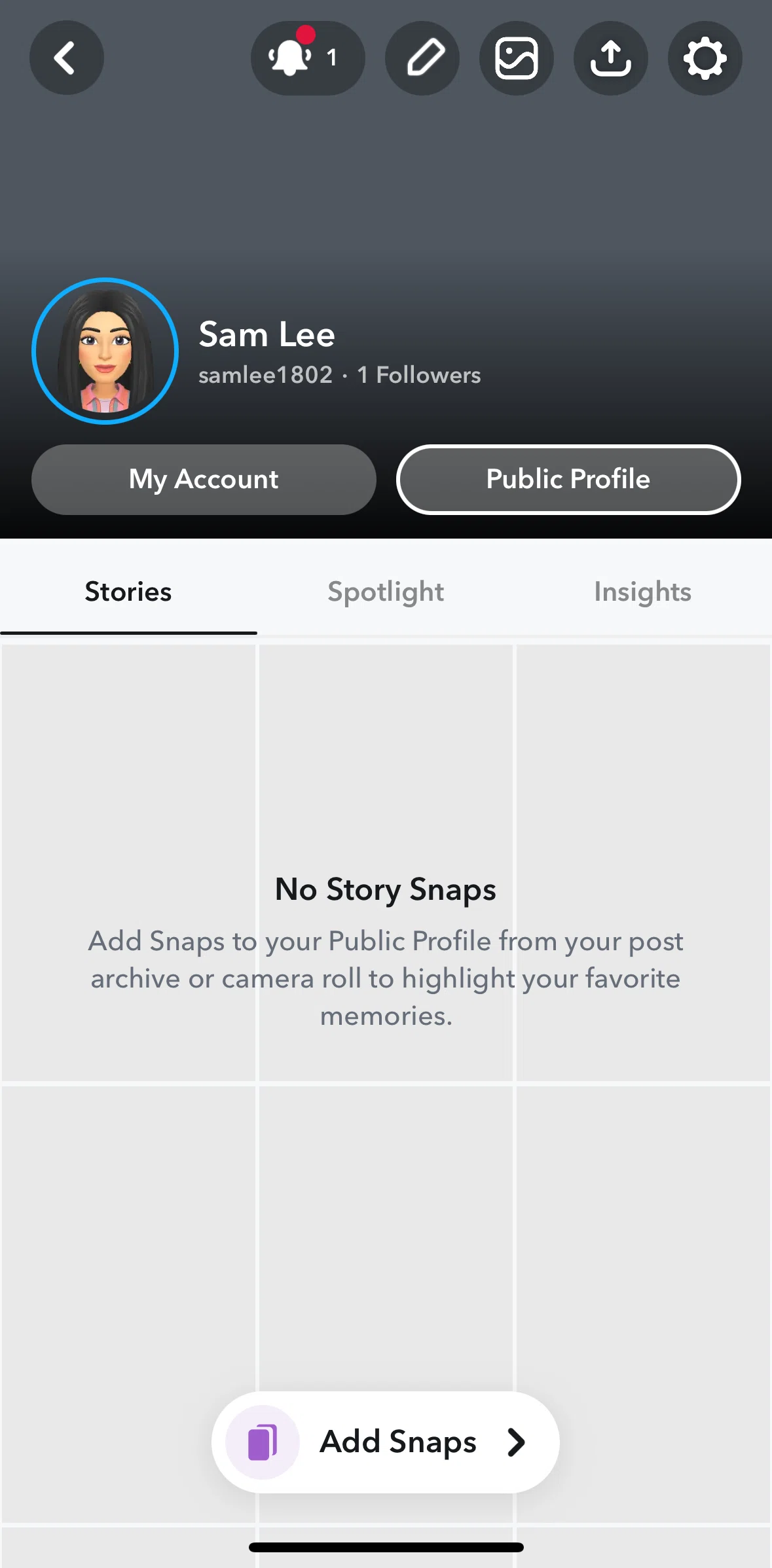 Snapchat Screen screen in the Adding story snaps flow