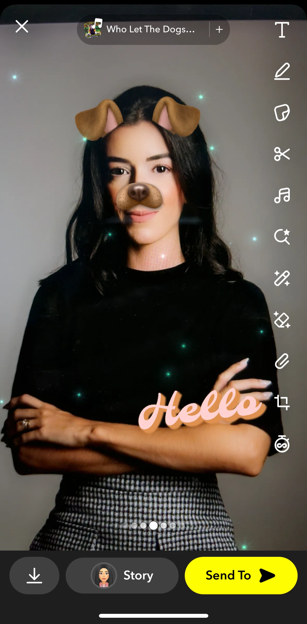Snapchat Screen screen in the Cropping an image flow