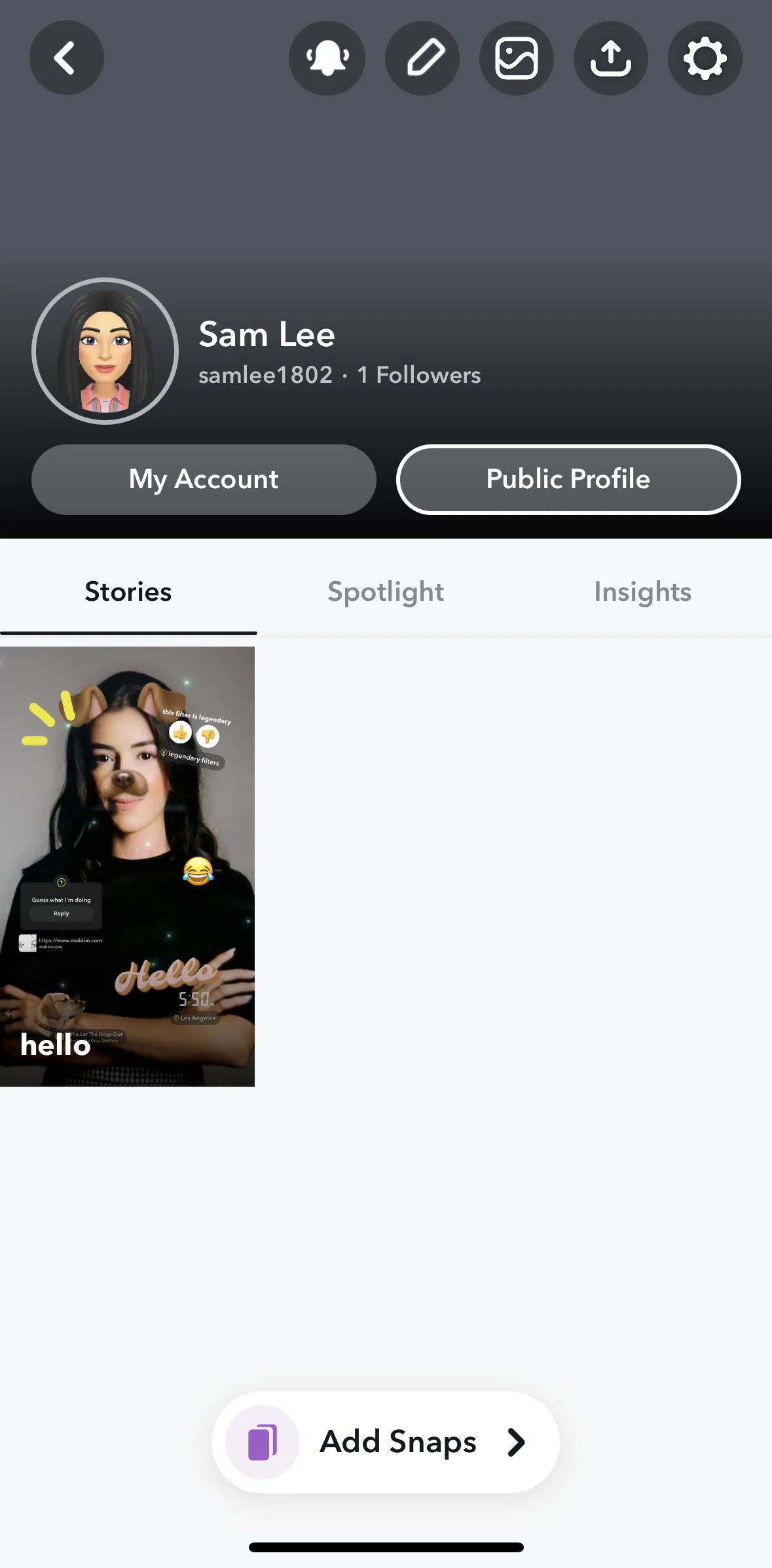 Snapchat Screen screen in the Editing cover image flow