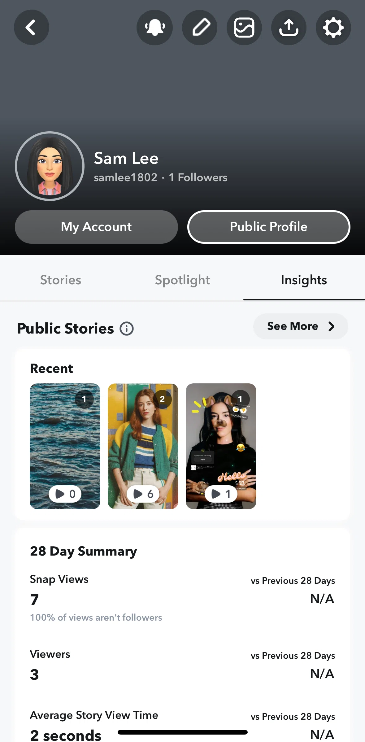 Snapchat Screen screen in the Public stories insight flow