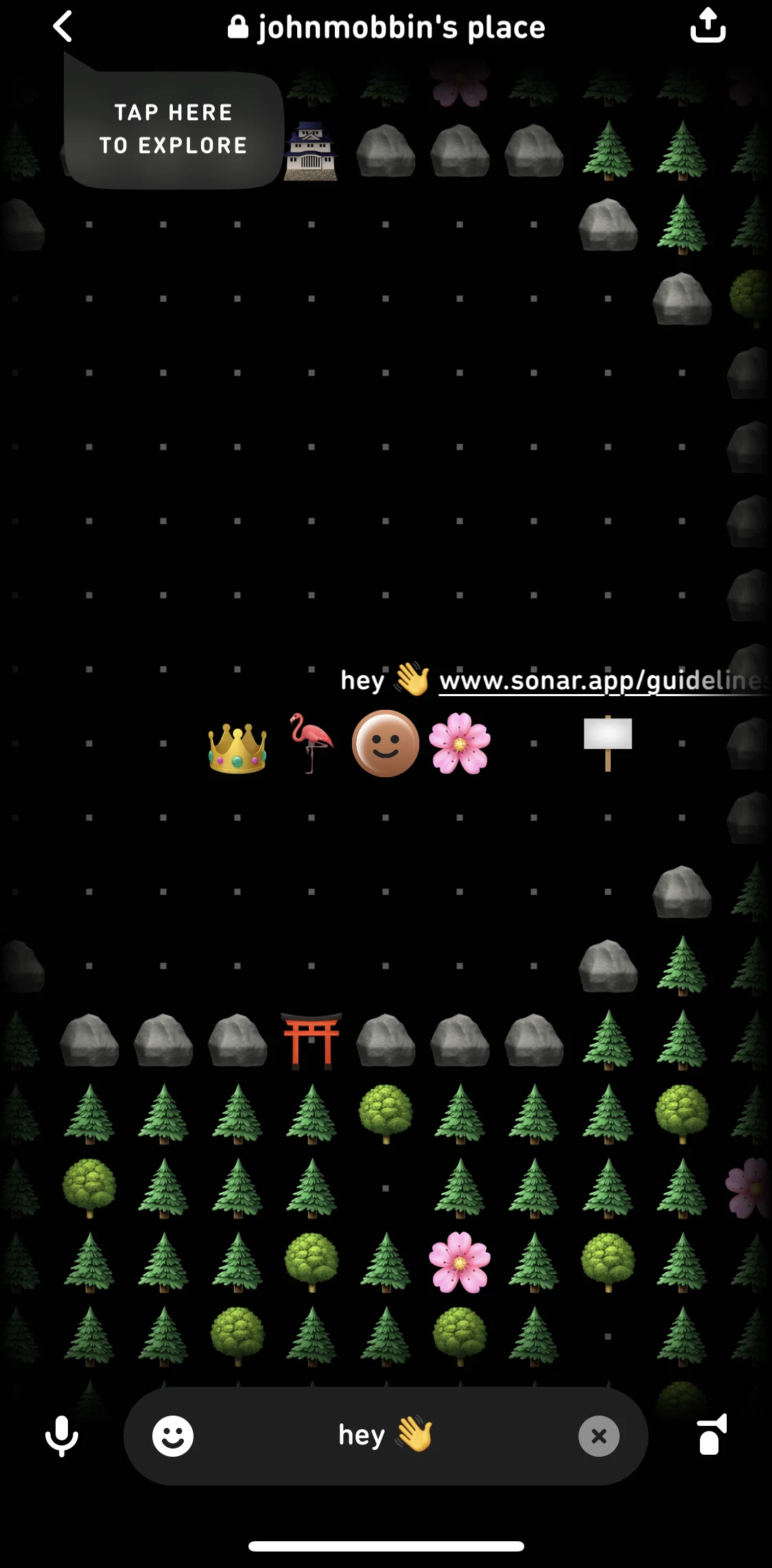 Sonar Screen screen in the Moving emojis flow