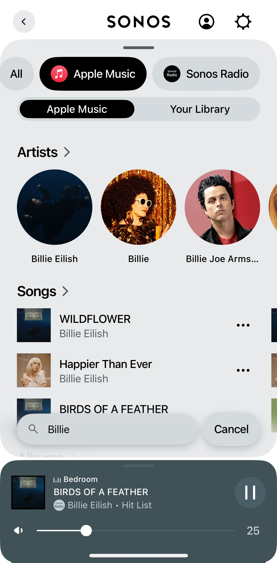 Sonos Screen screen in the Artist detail flow