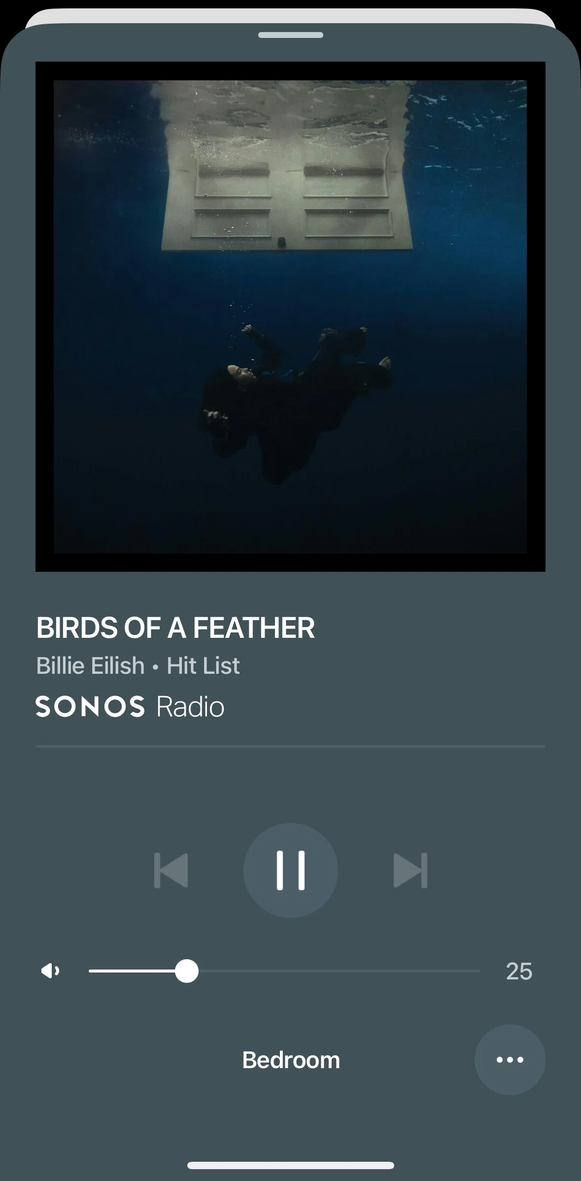 Sonos Screen screen in the Scheduling sleep timer flow