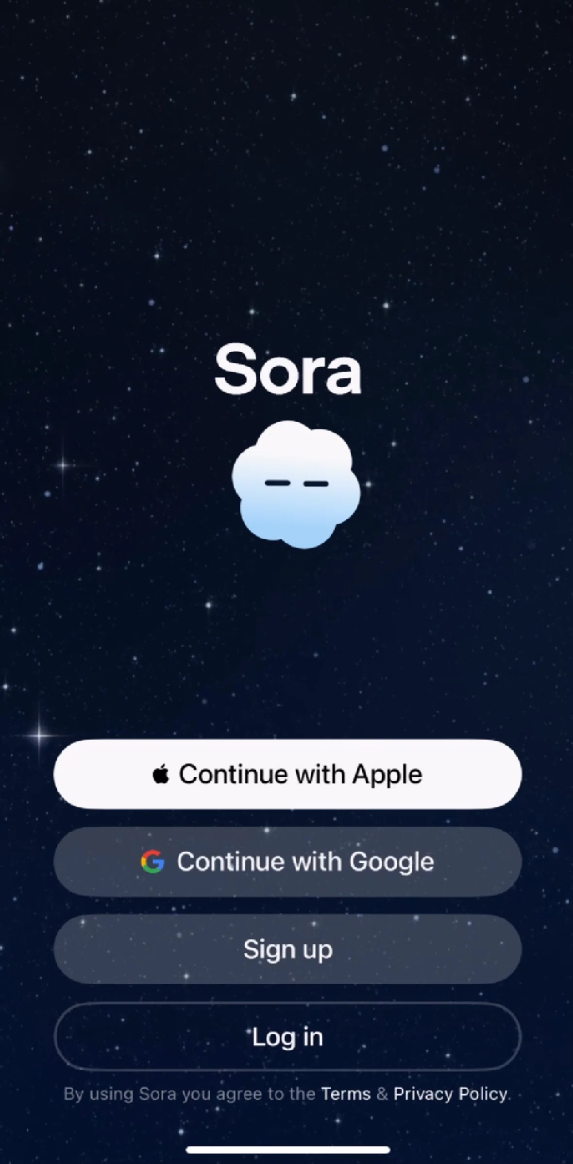 Sora Screen screen in the Logging in flow