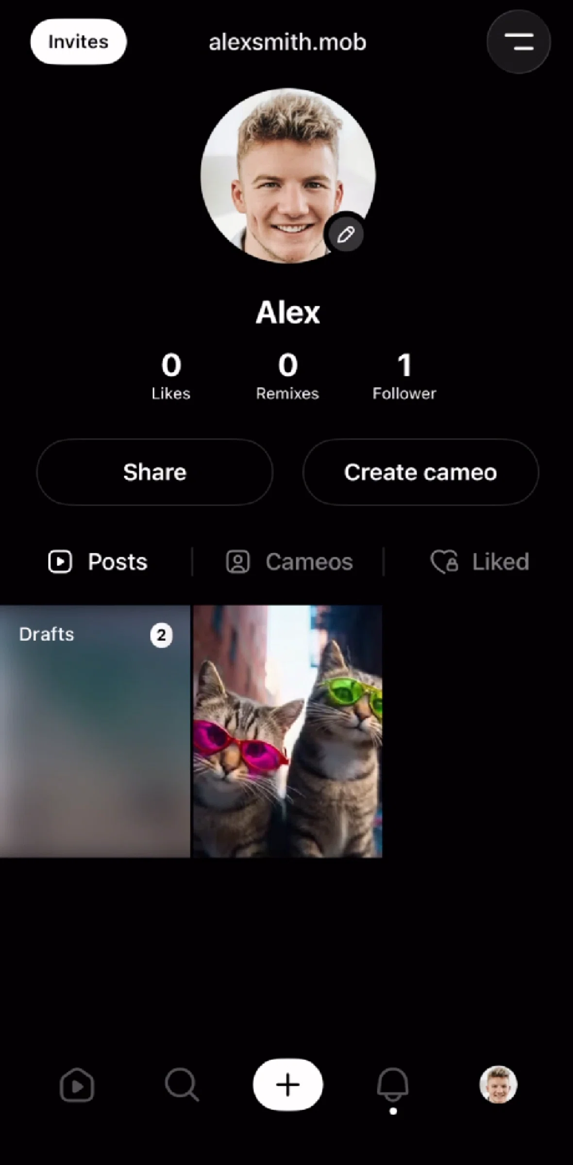 Sora Screen screen in the Posting a video flow