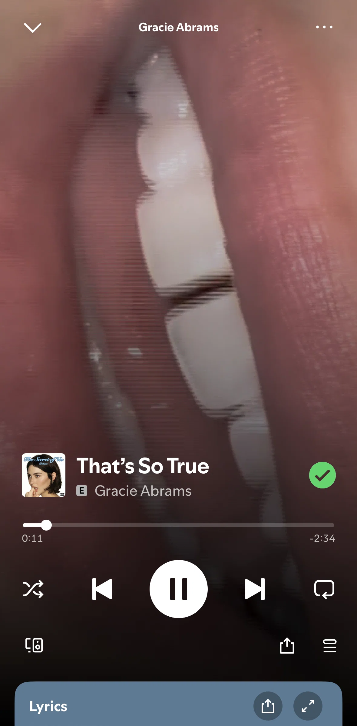 Spotify Screen screen in the Adding a song to playlist (song) flow