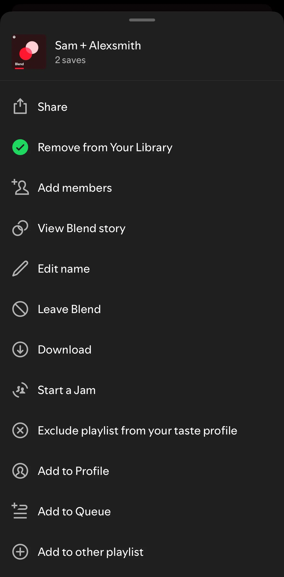 Spotify Screen screen in the Leaving a Blend flow