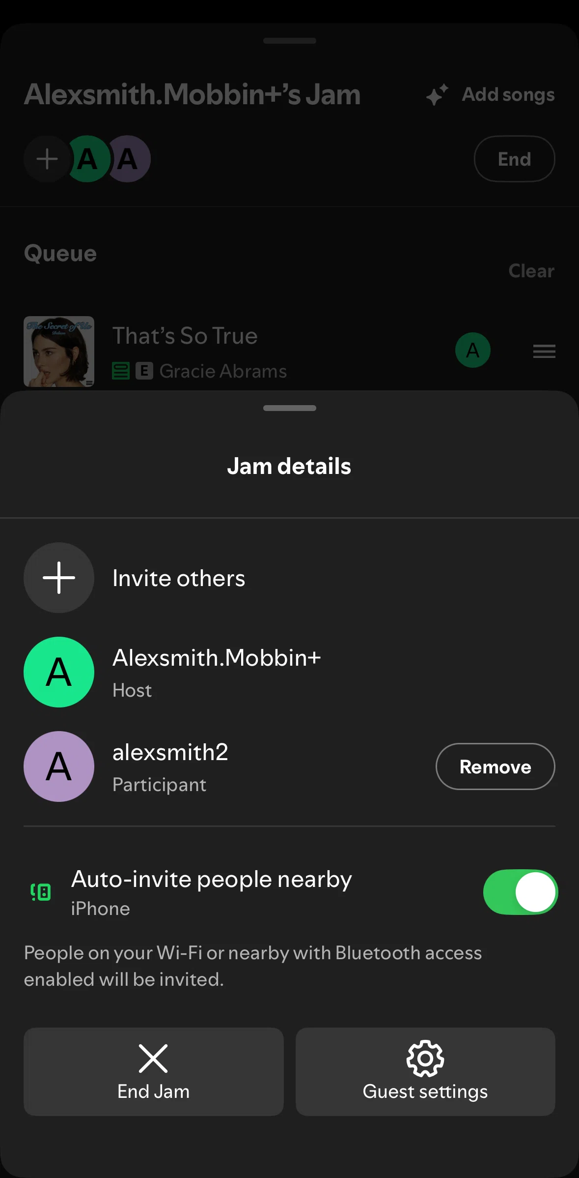 Spotify Screen screen in the Removing a guest flow