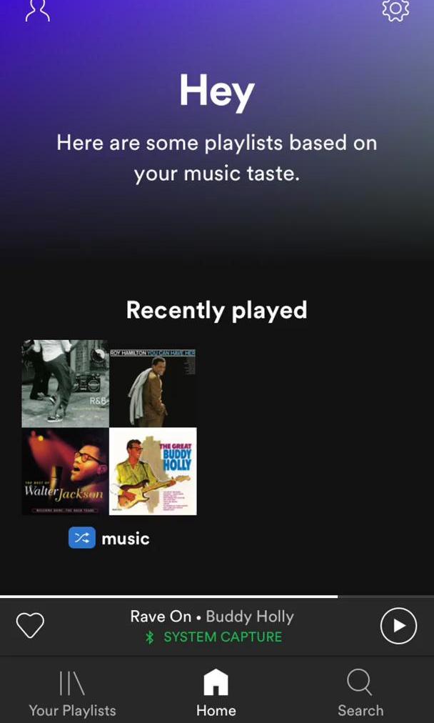 Spotify Screen screen in the Settings flow