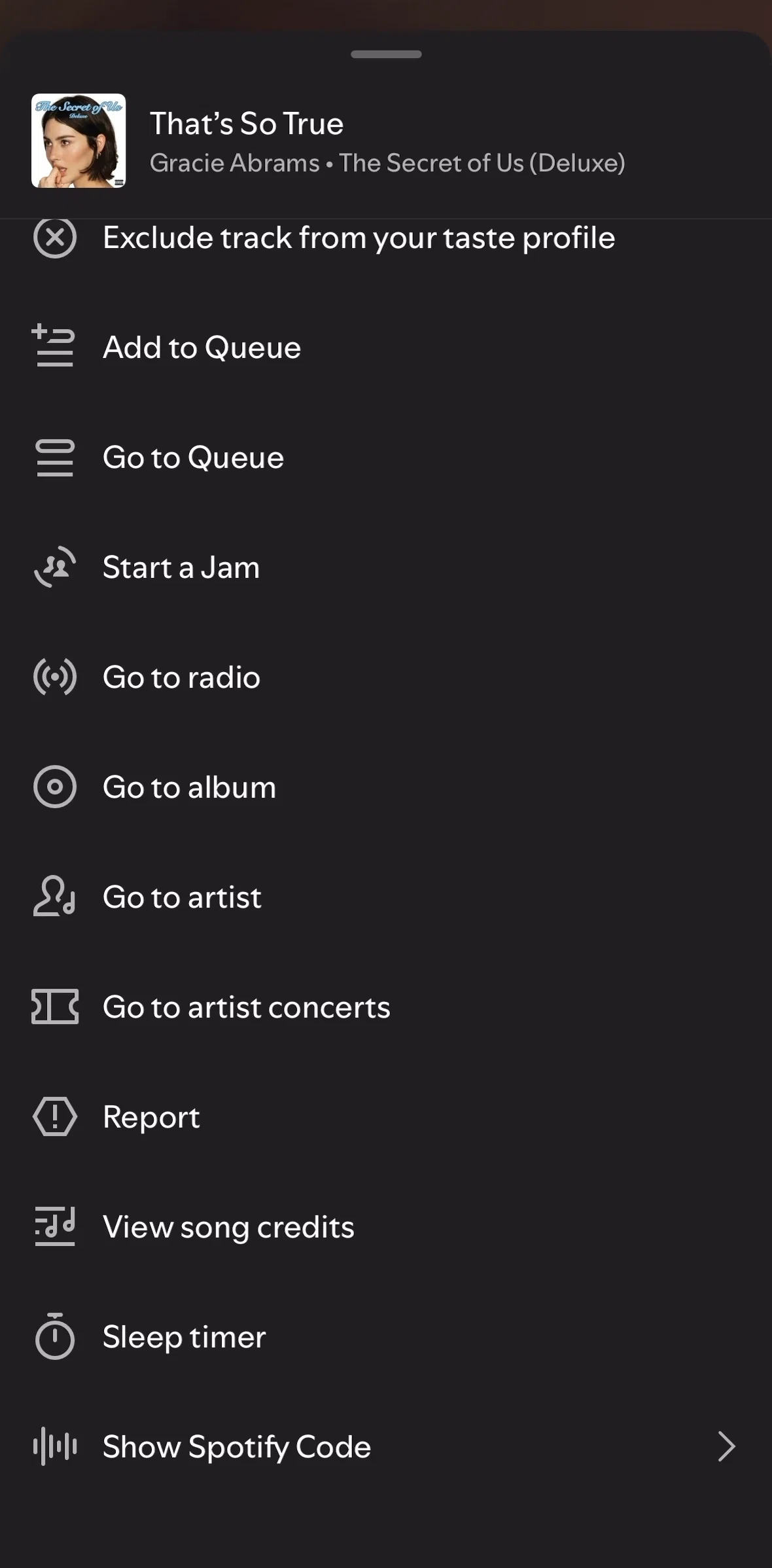 Spotify Screen screen in the Showing a Spotify code flow