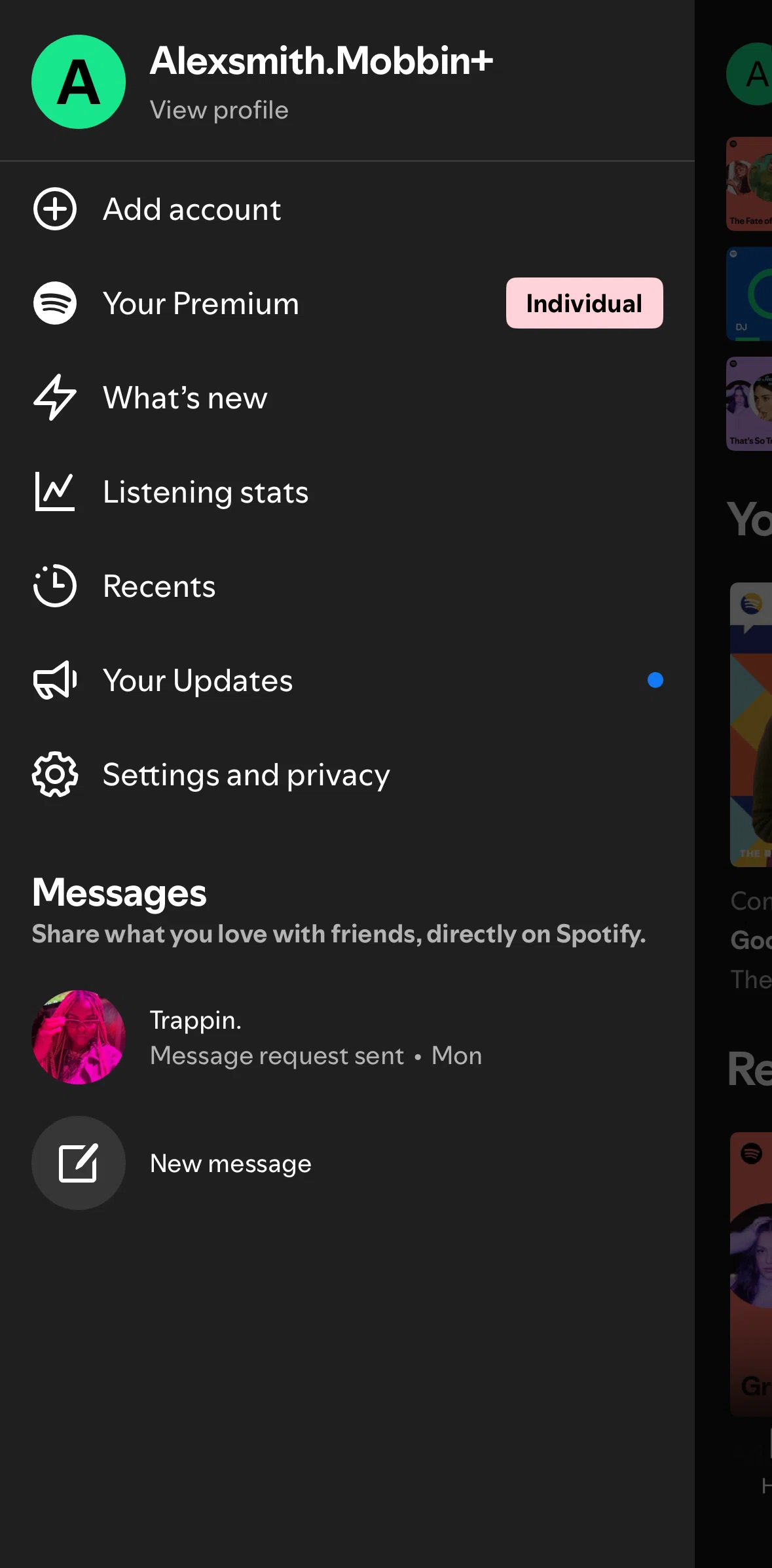 Spotify Screen screen in the Updates flow