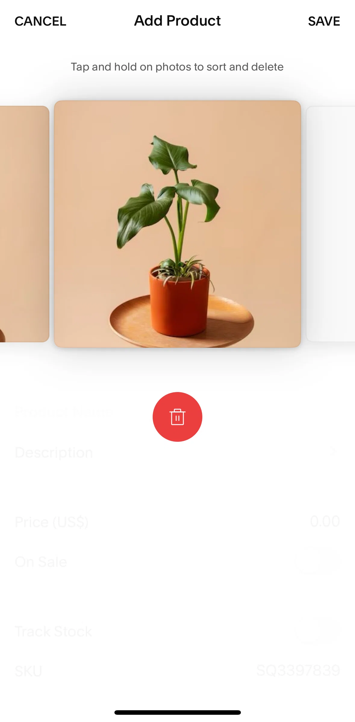 Squarespace Screen screen in the Deleting an image flow
