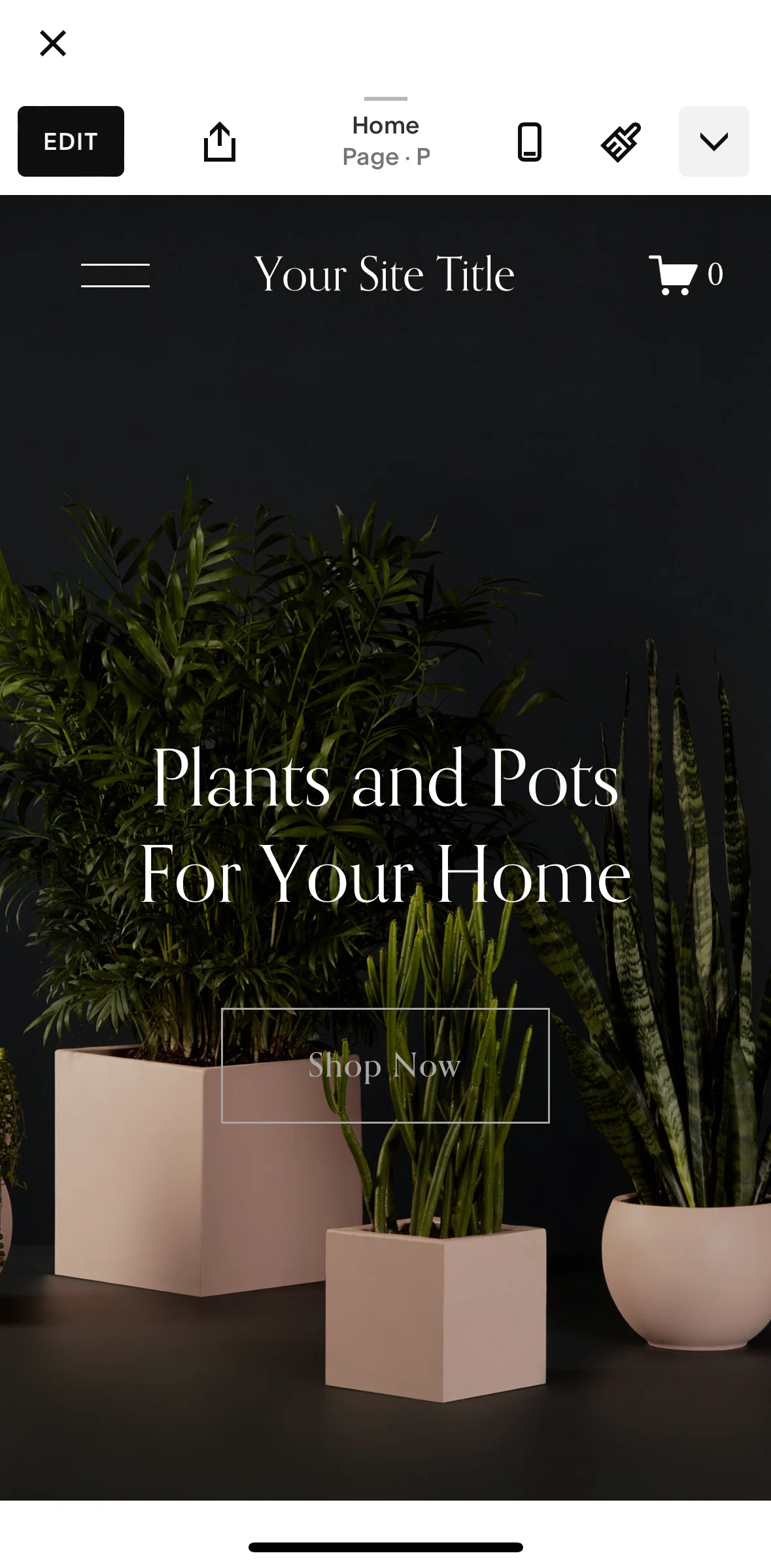 Squarespace Screen screen in the Editing site flow