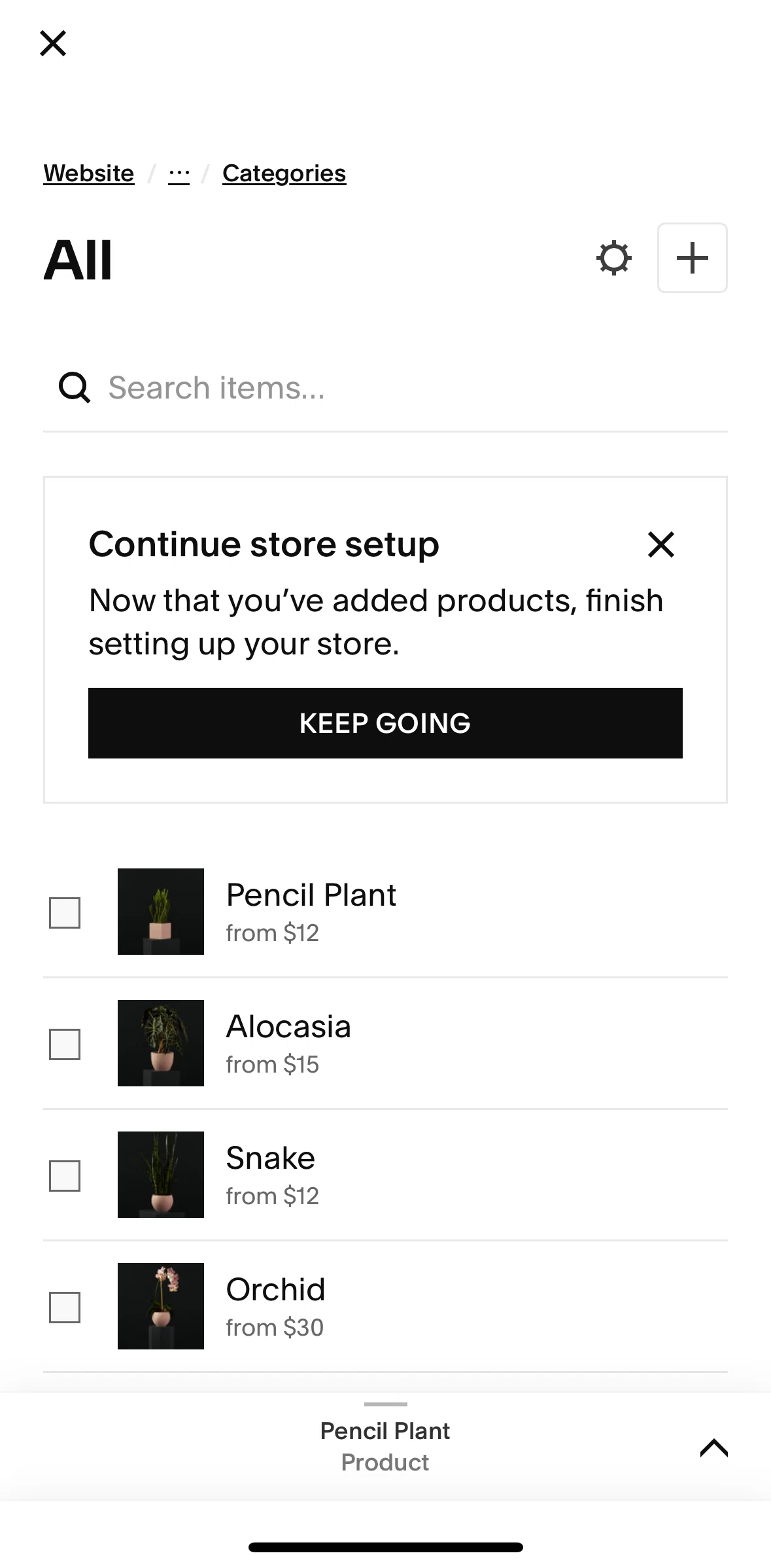 Squarespace Screen screen in the Page settings flow