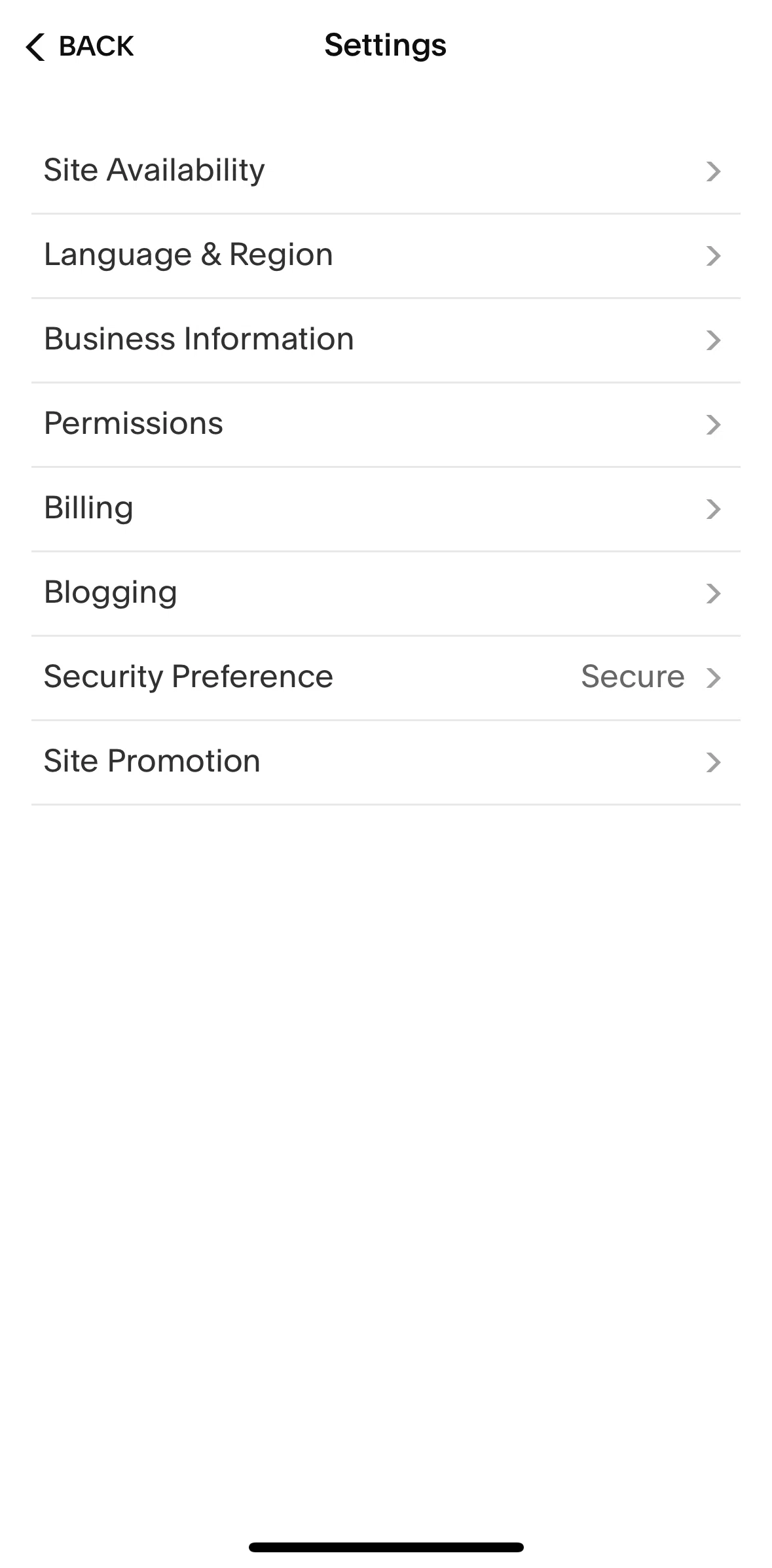 Squarespace Screen screen in the Permissions flow