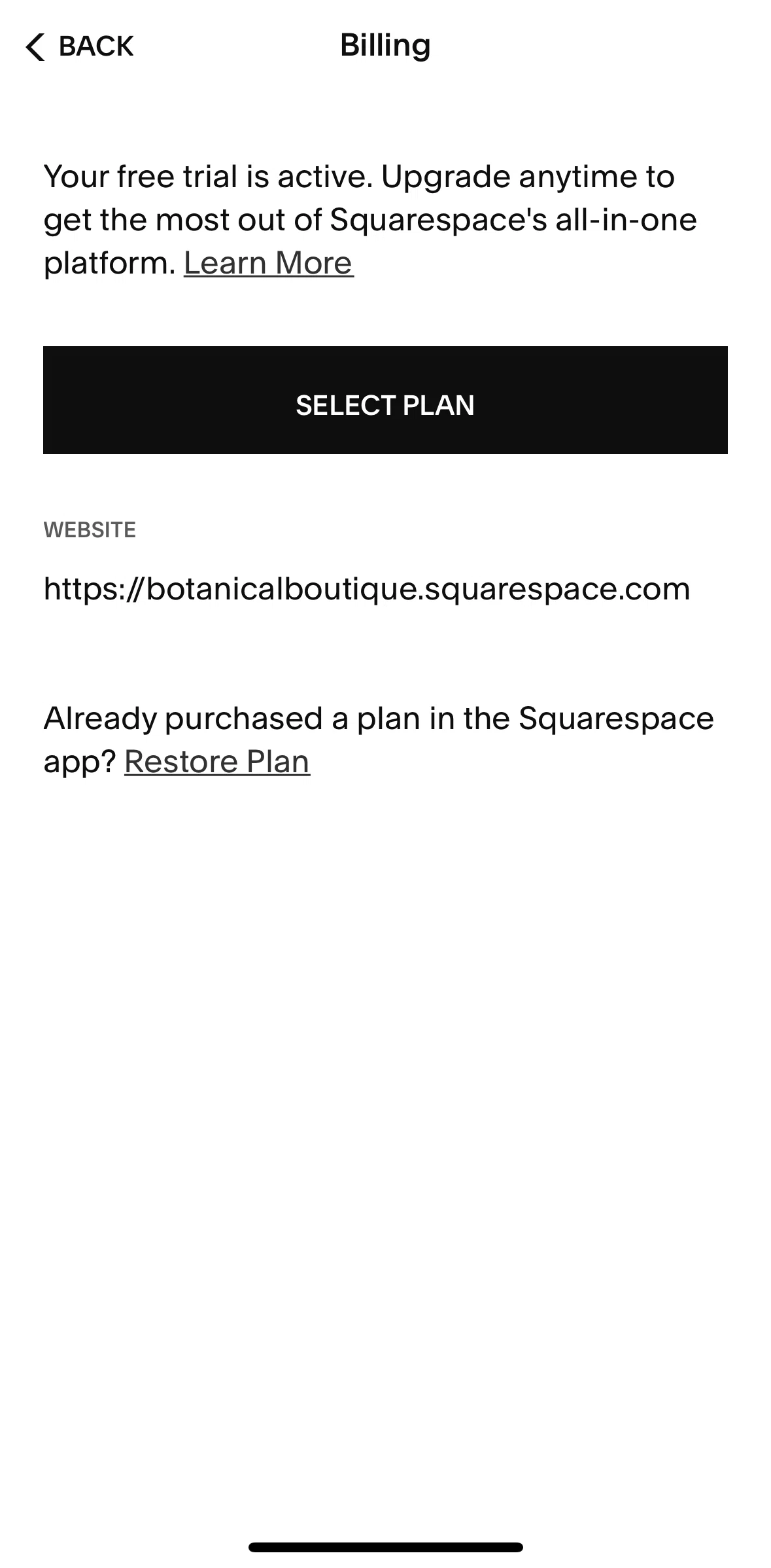 Squarespace Screen screen in the Purchase a plan flow
